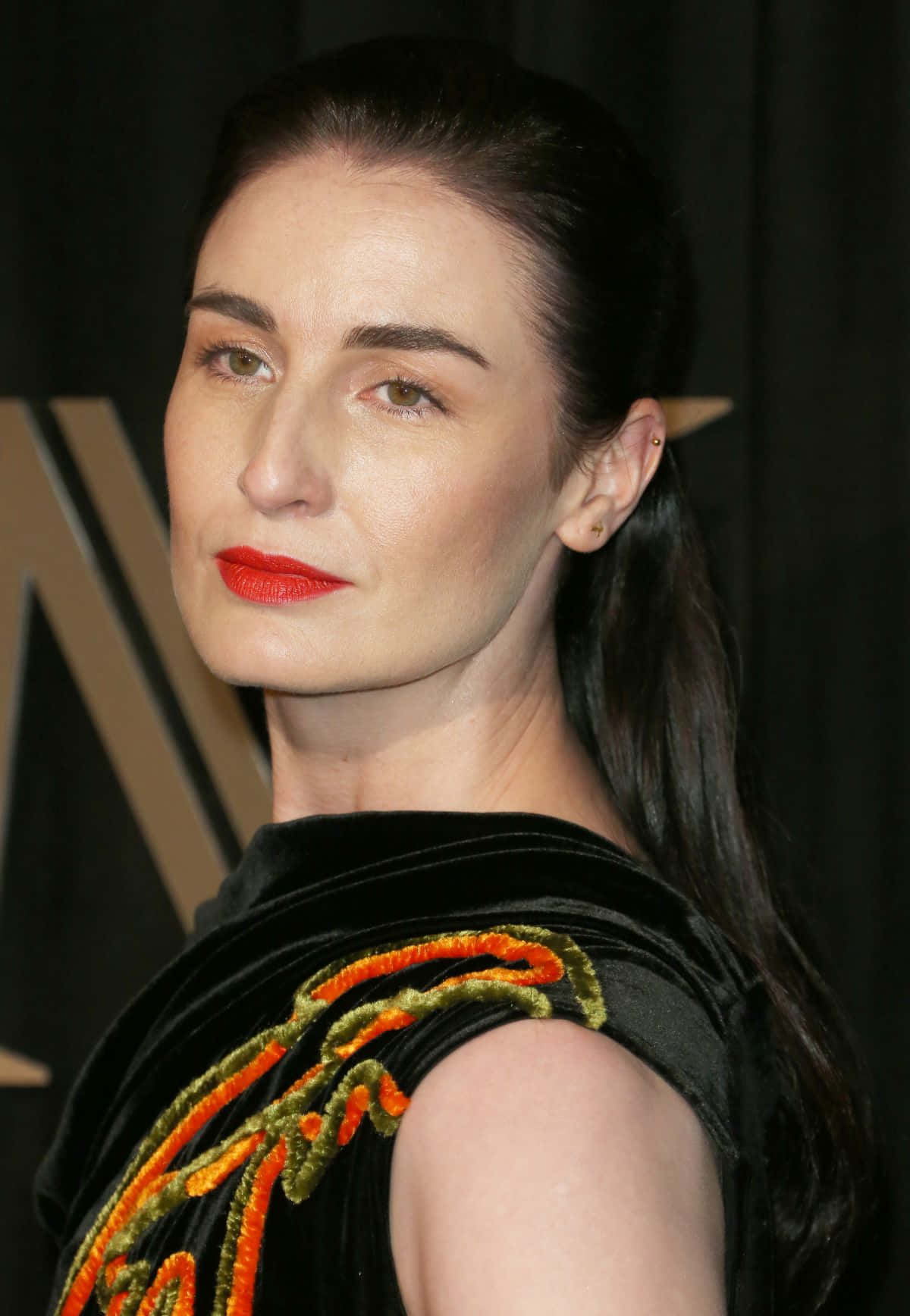 Erin O'Connor, black velvet dress, orange and green embroidery, HD Phone Wallpaper