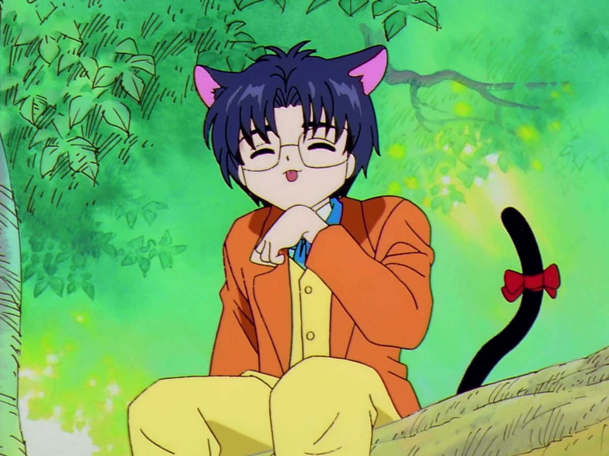 Eriol Hiiragizawa, cat ears, tail with red bow, SD Desktop Wallpaper