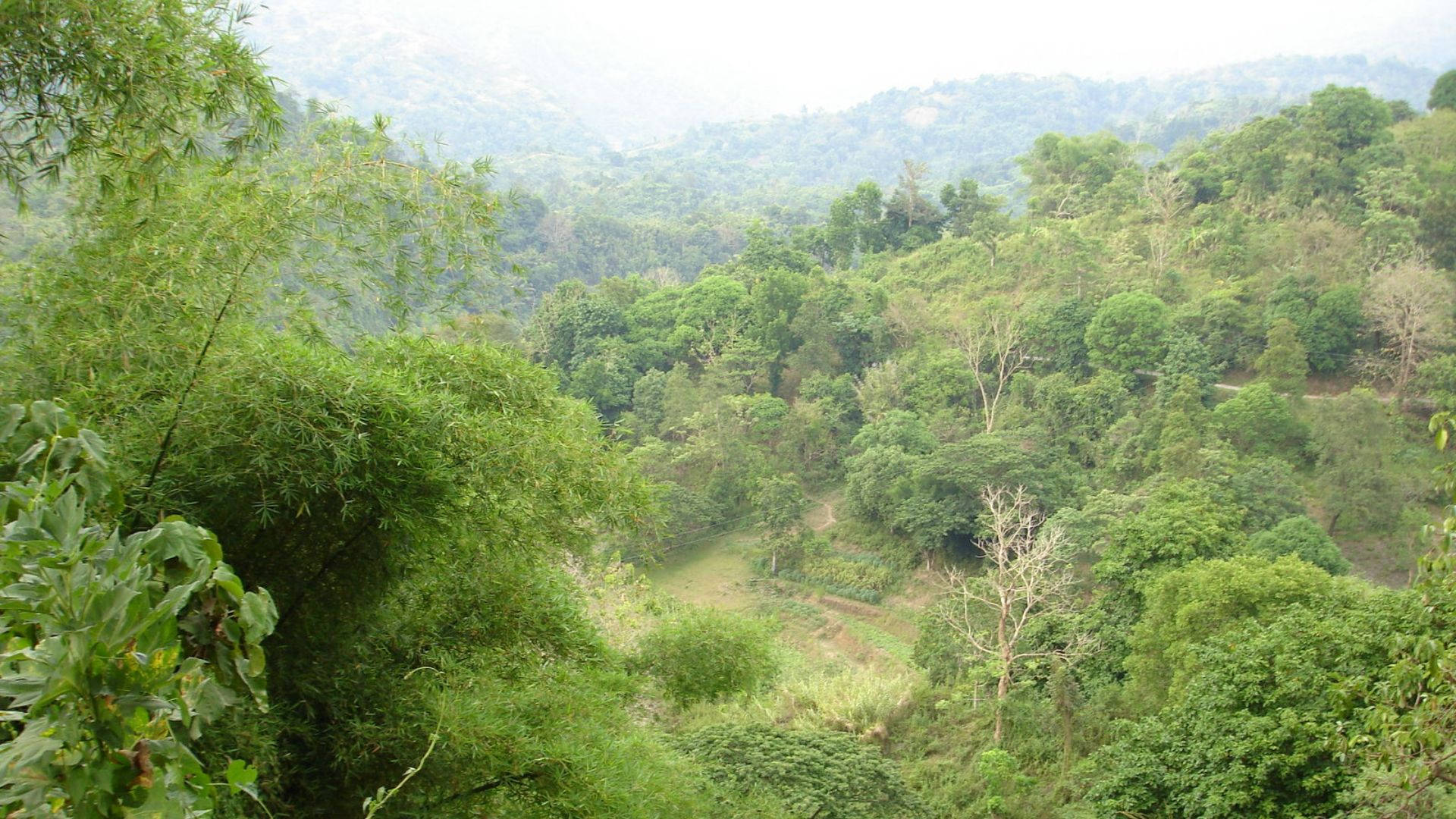 Eritrea, lush green valley, misty forested hills, Full HD Desktop Wallpaper