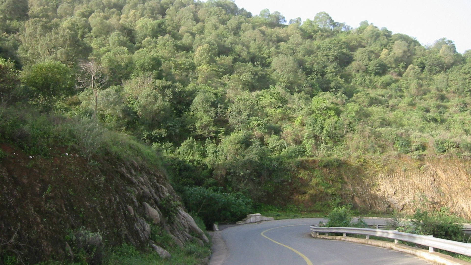 Eritrea, winding asphalt road, lush green forested hillside, Full HD Desktop Wallpaper