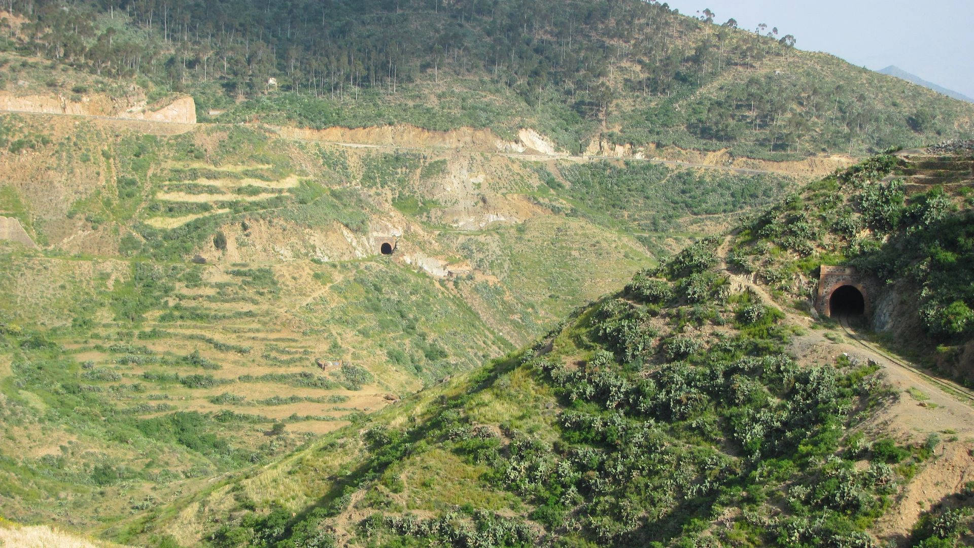 Eritrea, green forest, winding mountain road, Full HD Desktop Wallpaper