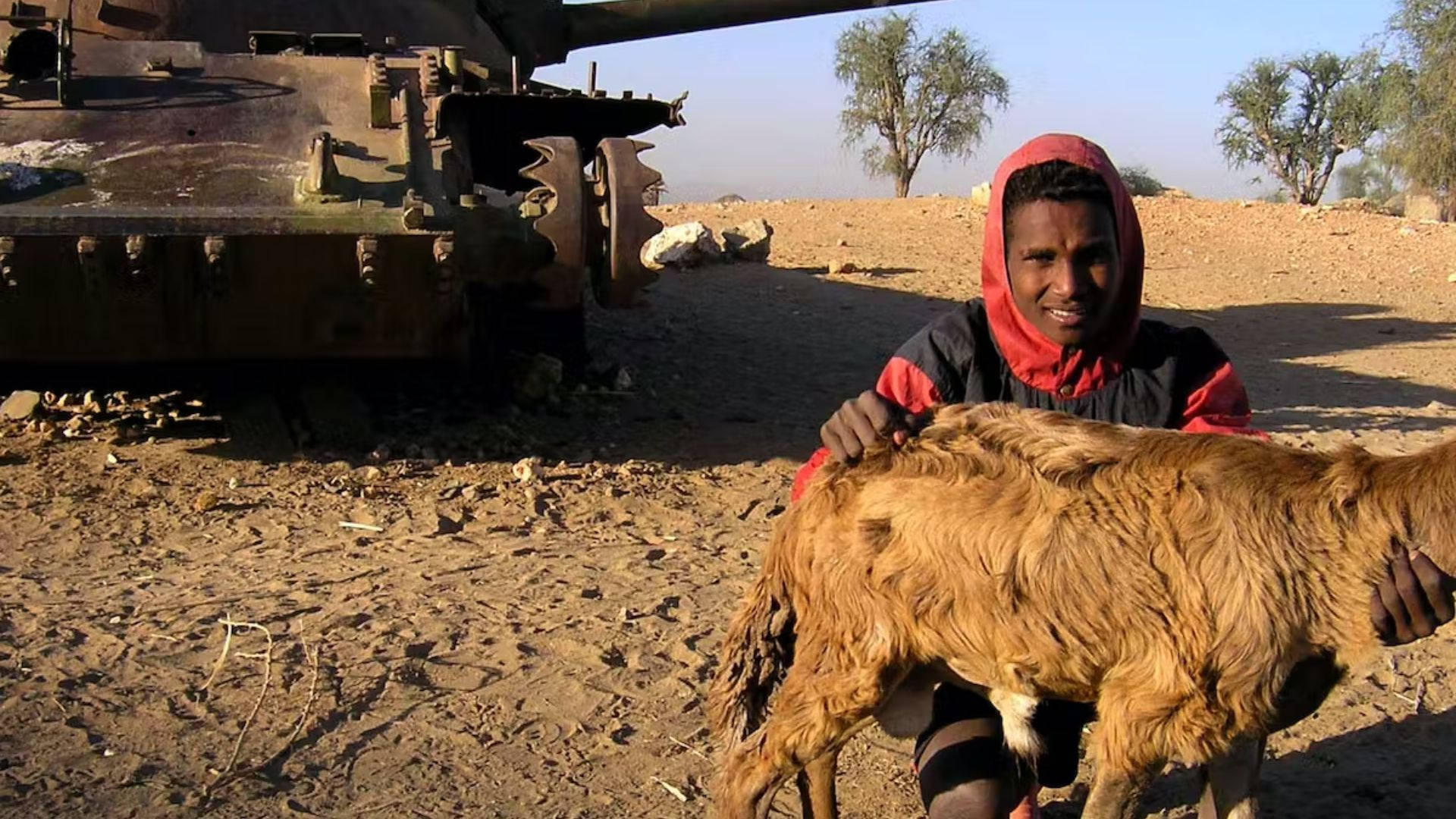 Eritrea, red headscarf, goat, Full HD Desktop Wallpaper