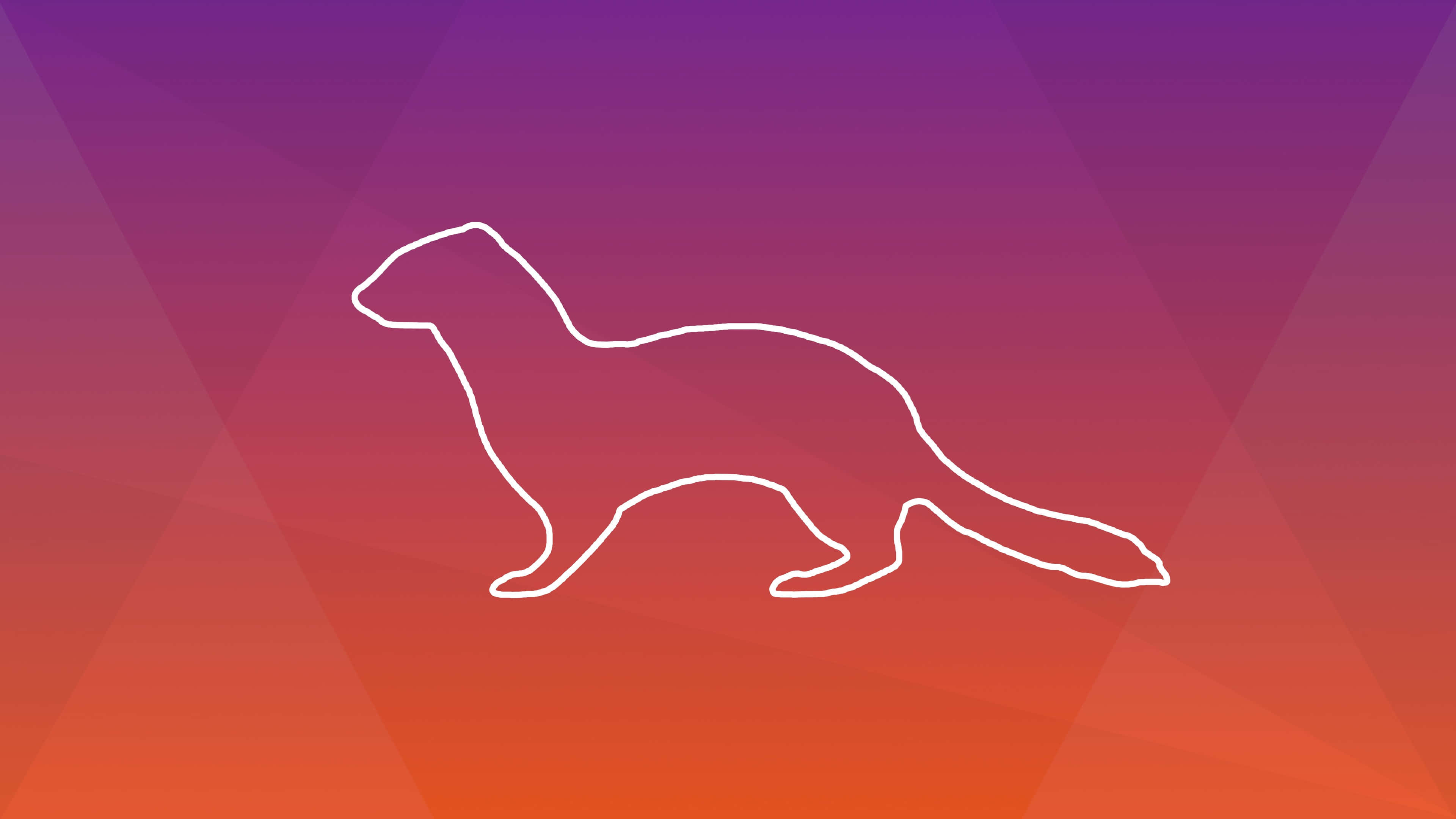 Ermine, white outline, walking weasel silhouette, 4K Desktop Wallpaper