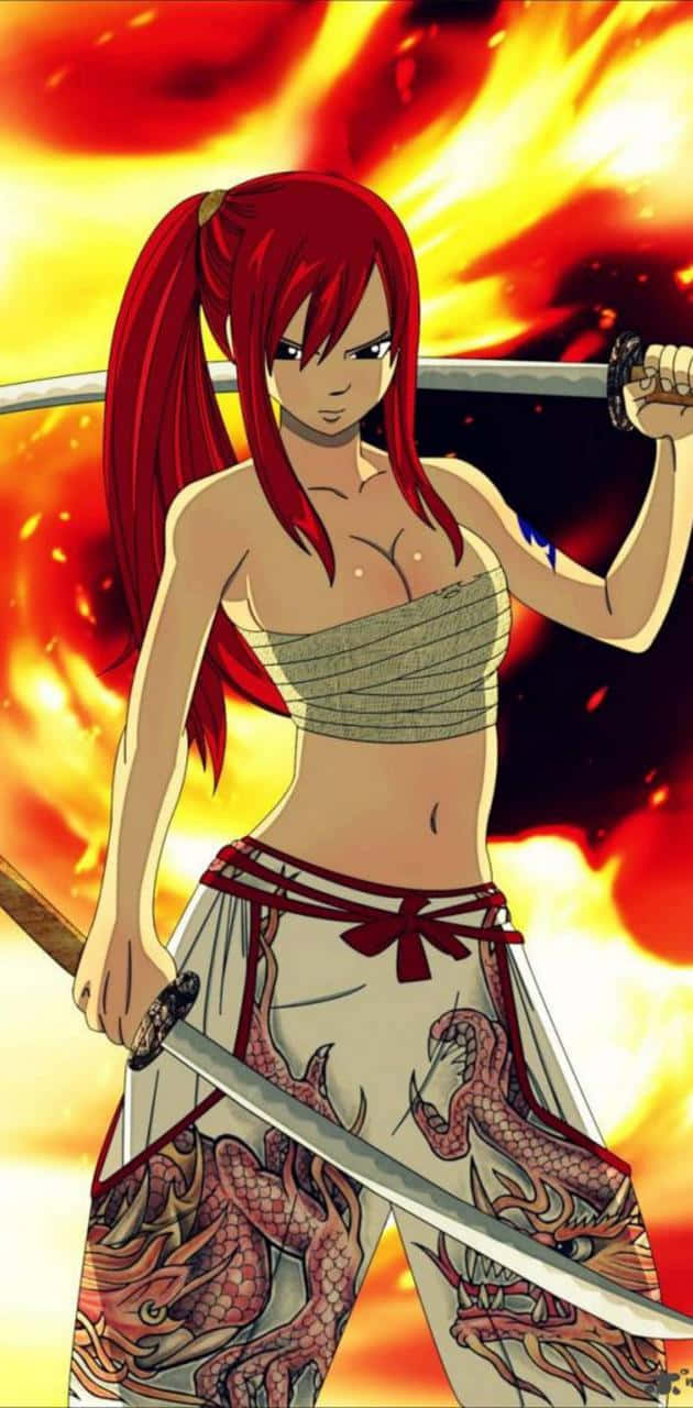 Erza Scarlet, fiery-haired anime warrior, two swords, HD Phone Wallpaper