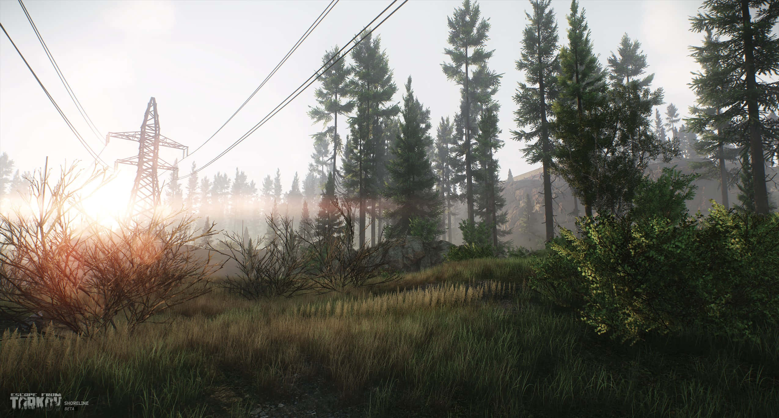 Tarkov, sunrise, powerline, Full HD Desktop Wallpaper