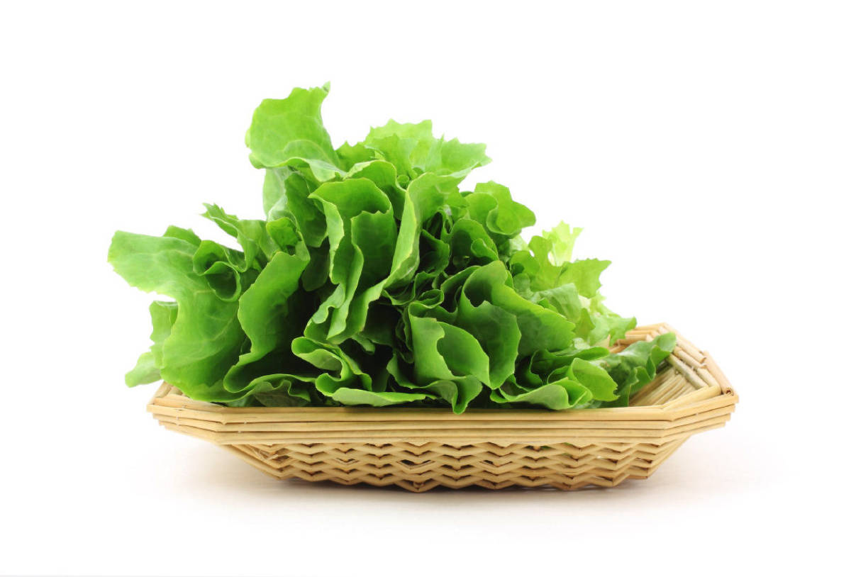 rattan basket, escarole, woven bamboo basket, SD Desktop Wallpaper