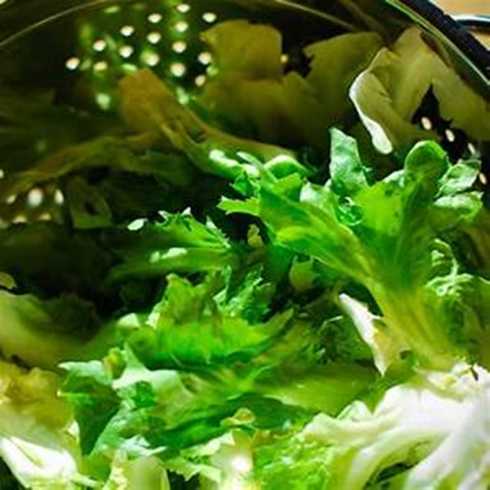escarole, metal colander, bright light, SD Desktop Wallpaper