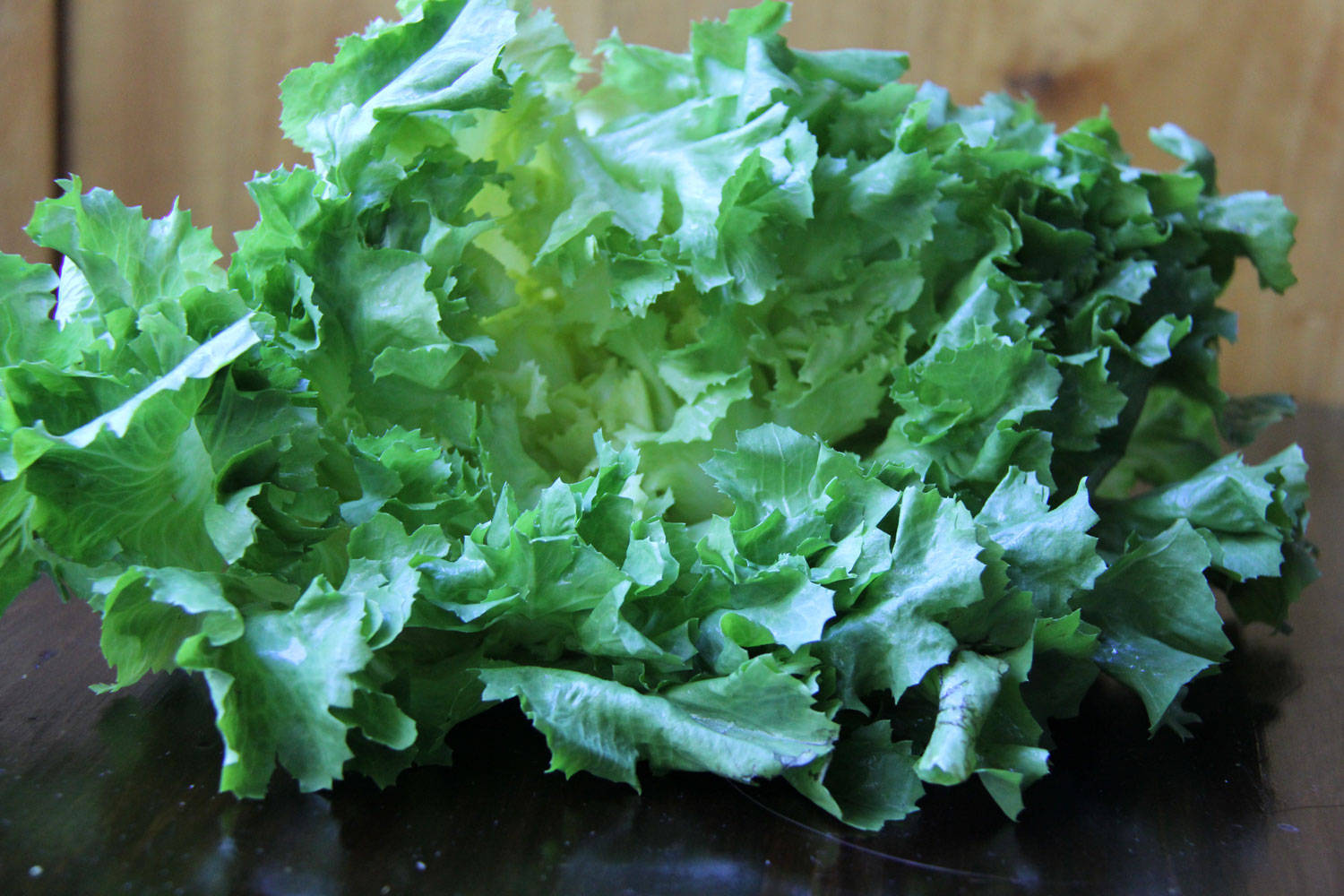 leafy green escarole, wooden platform, dark wooden surface, HD Desktop Wallpaper