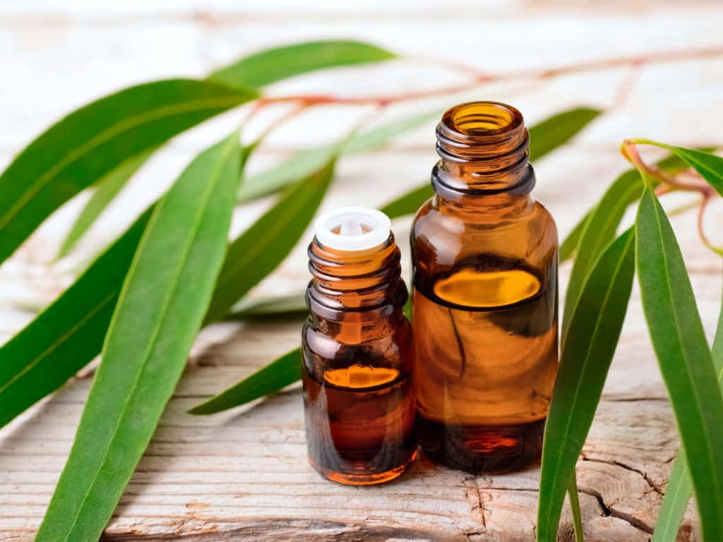 amber glass bottles, essential oil, fresh green eucalyptus leaves, SD Desktop Wallpaper
