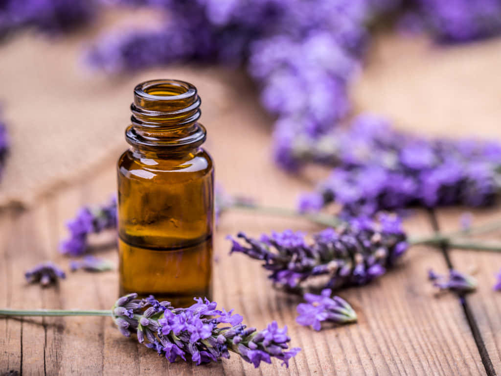 amber bottle, lavender oil, purple lavender sprigs, SD Desktop Wallpaper