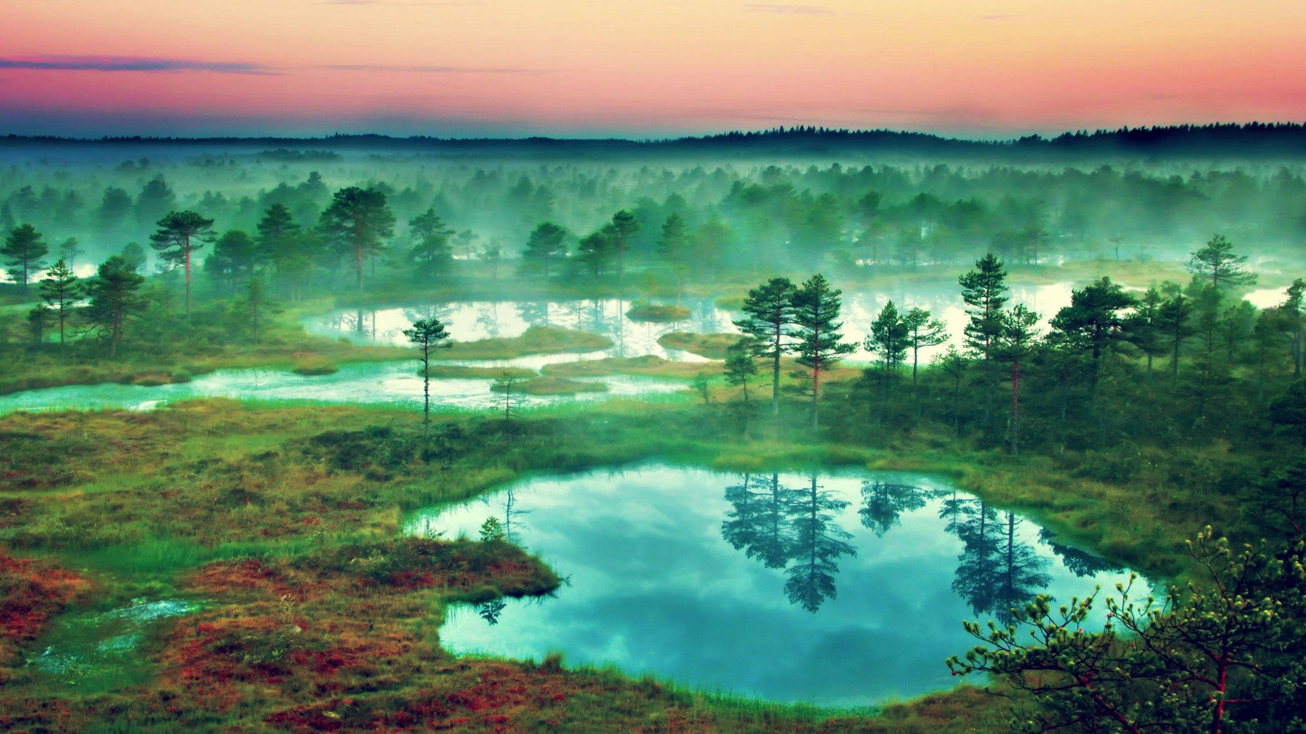 Estonia, foggy wetlands, emerald ponds, 2K Desktop Wallpaper