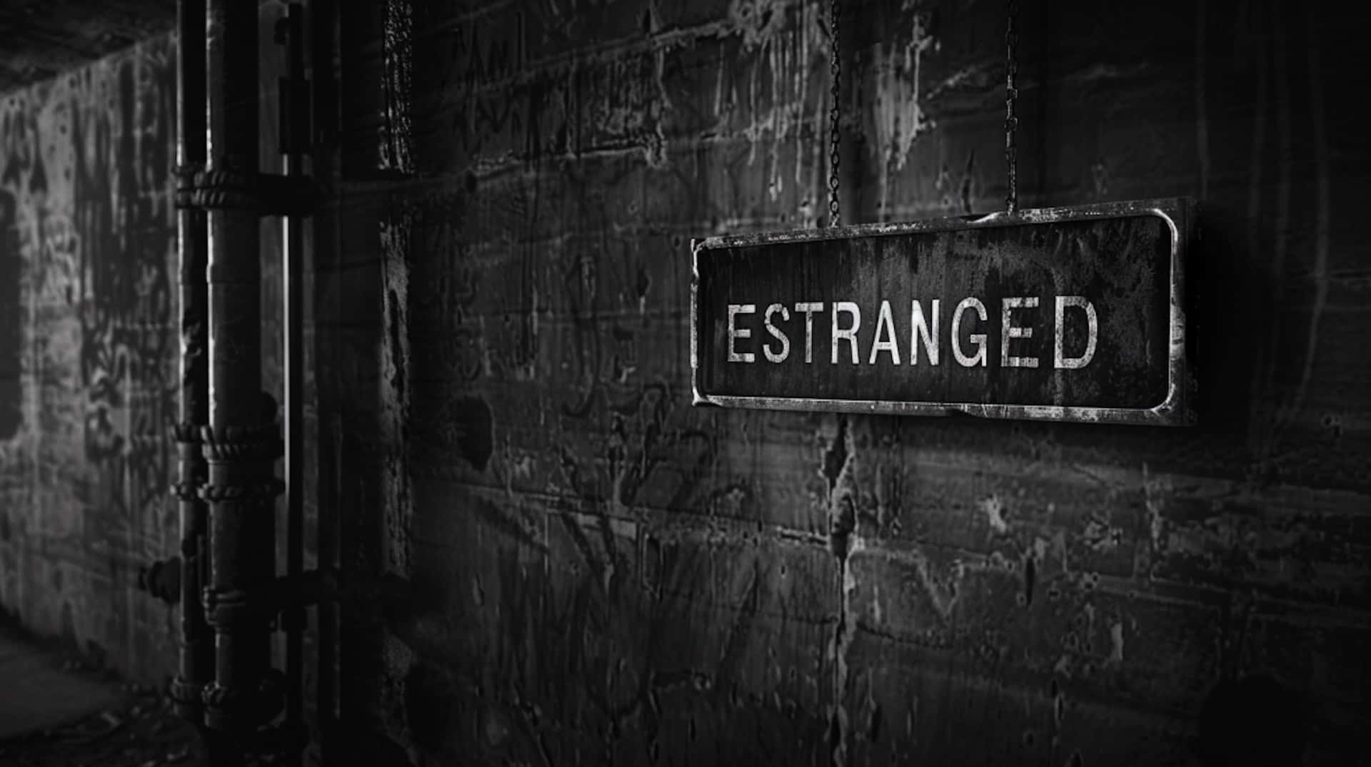 Estranged, sign, crumbling brick wall, Full HD Desktop Wallpaper