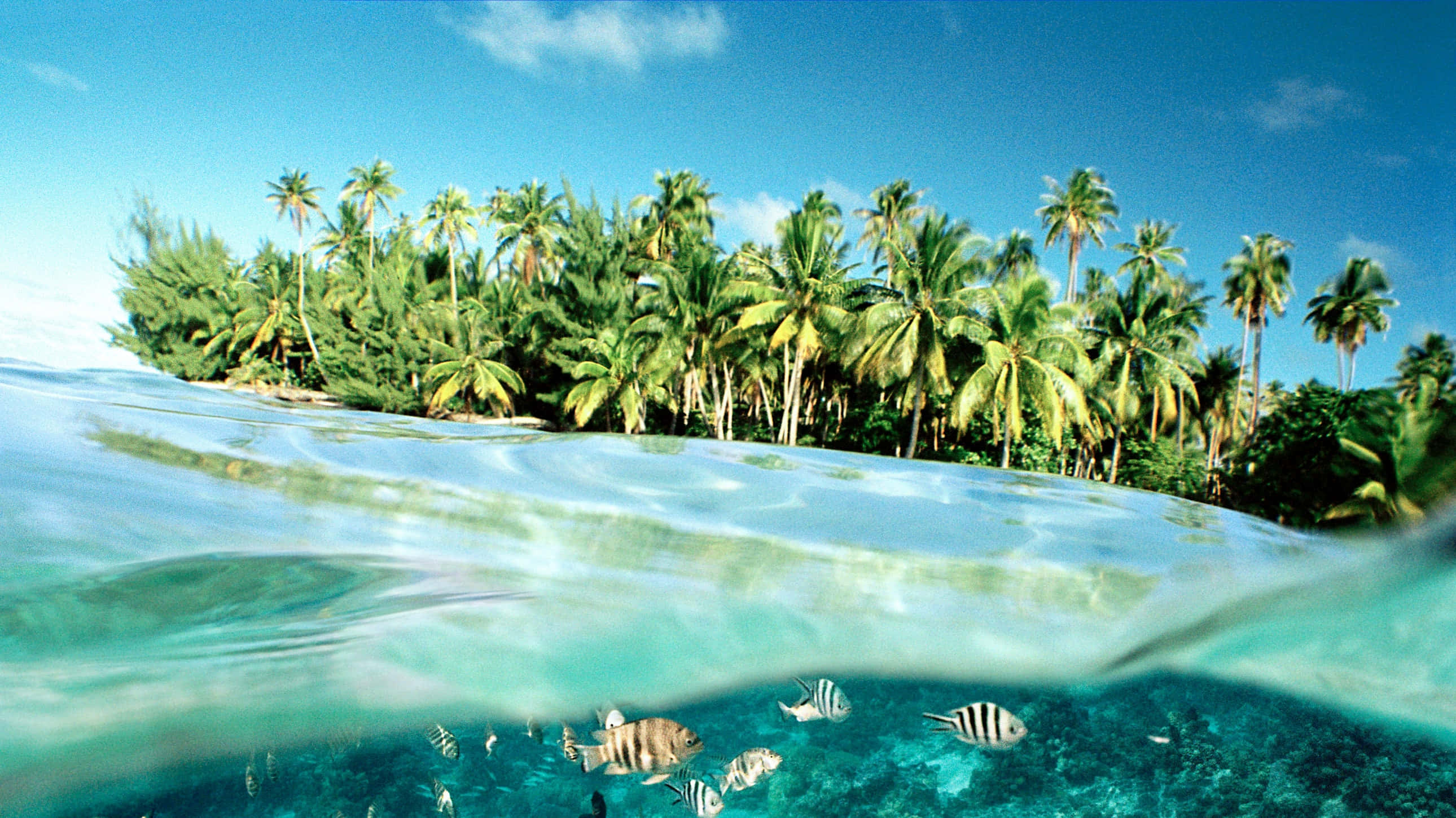estranged island, dusk, tropical island, 2K Desktop Wallpaper
