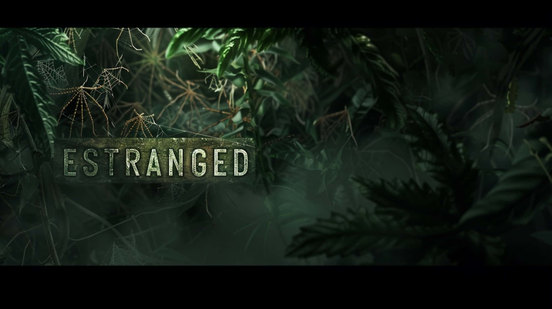 Estranged, forest, mist, Full HD Desktop Wallpaper