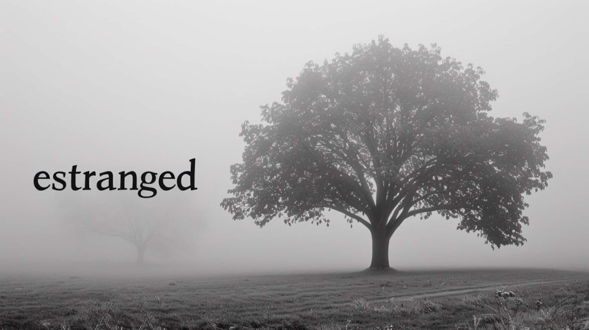 misty estranged tree, foggy field, black text, Full HD Desktop Wallpaper
