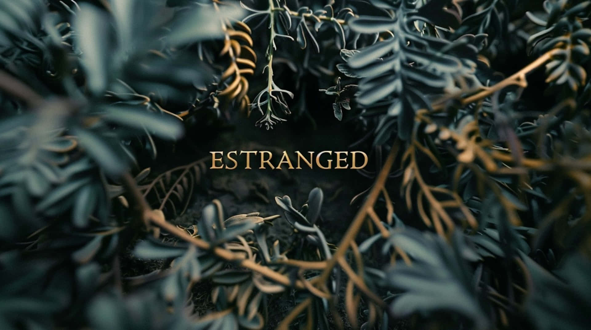 Estranged, golden text, dense dark foliage, Full HD Desktop Wallpaper