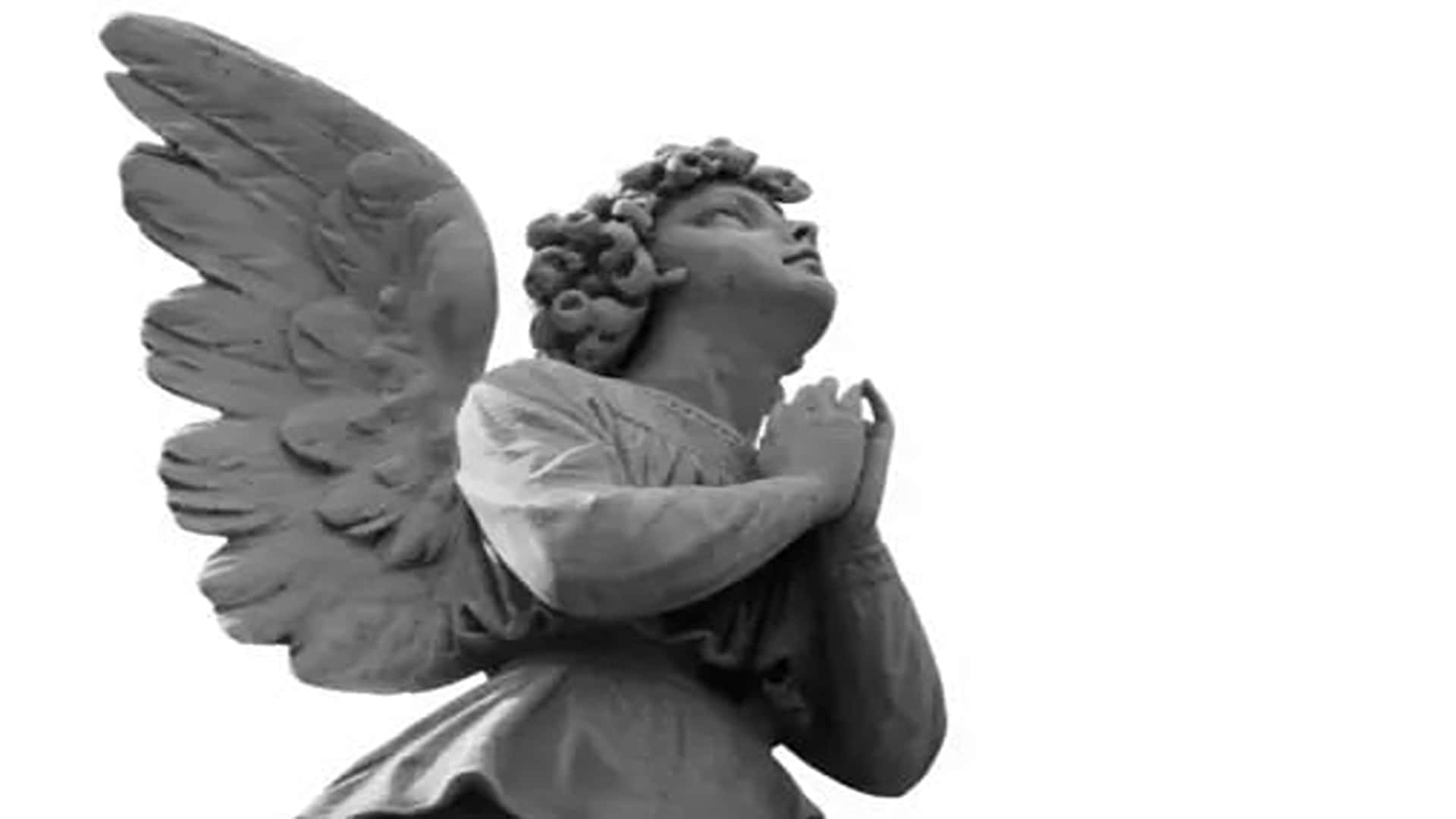 Eternal Life, monochrome stone angel statue, detailed wings, Full HD Desktop Wallpaper