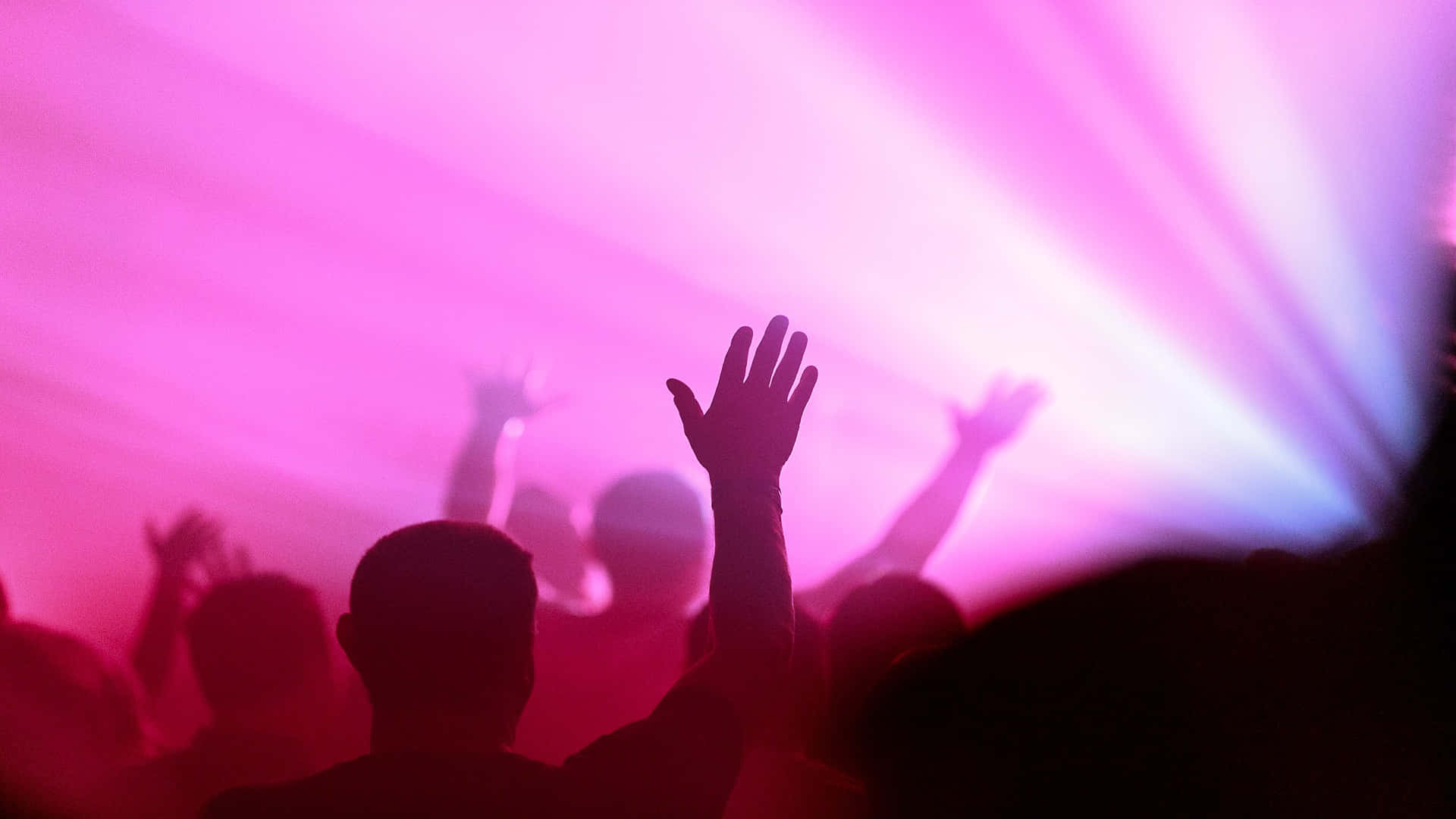 Eternal Life, pink, purple, Full HD Desktop Wallpaper