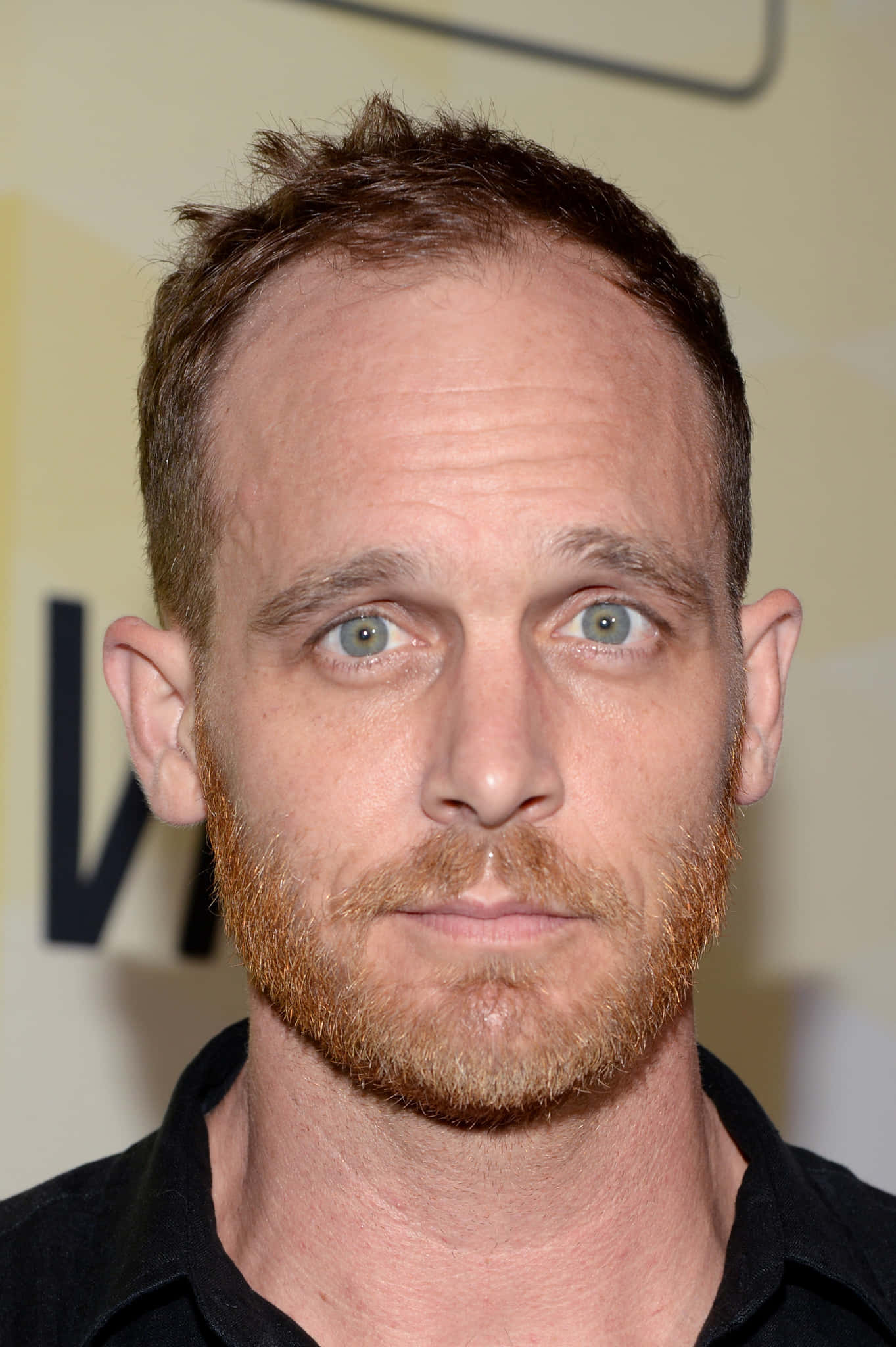 Ethan Embry, green eyes, reddish beard, Full HD Phone Wallpaper