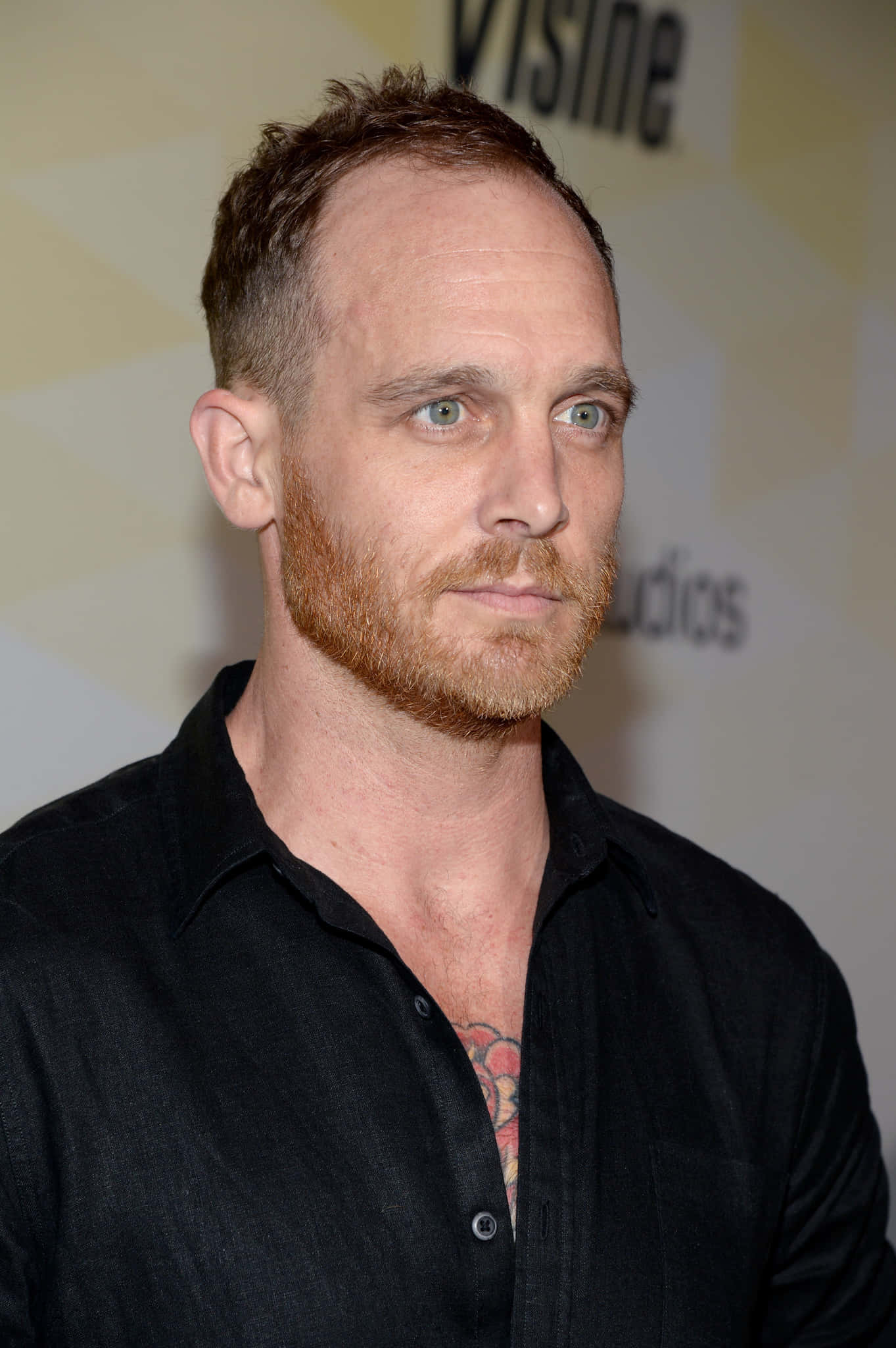 Ethan Embry, reddish beard, green eyes, Full HD Phone Wallpaper