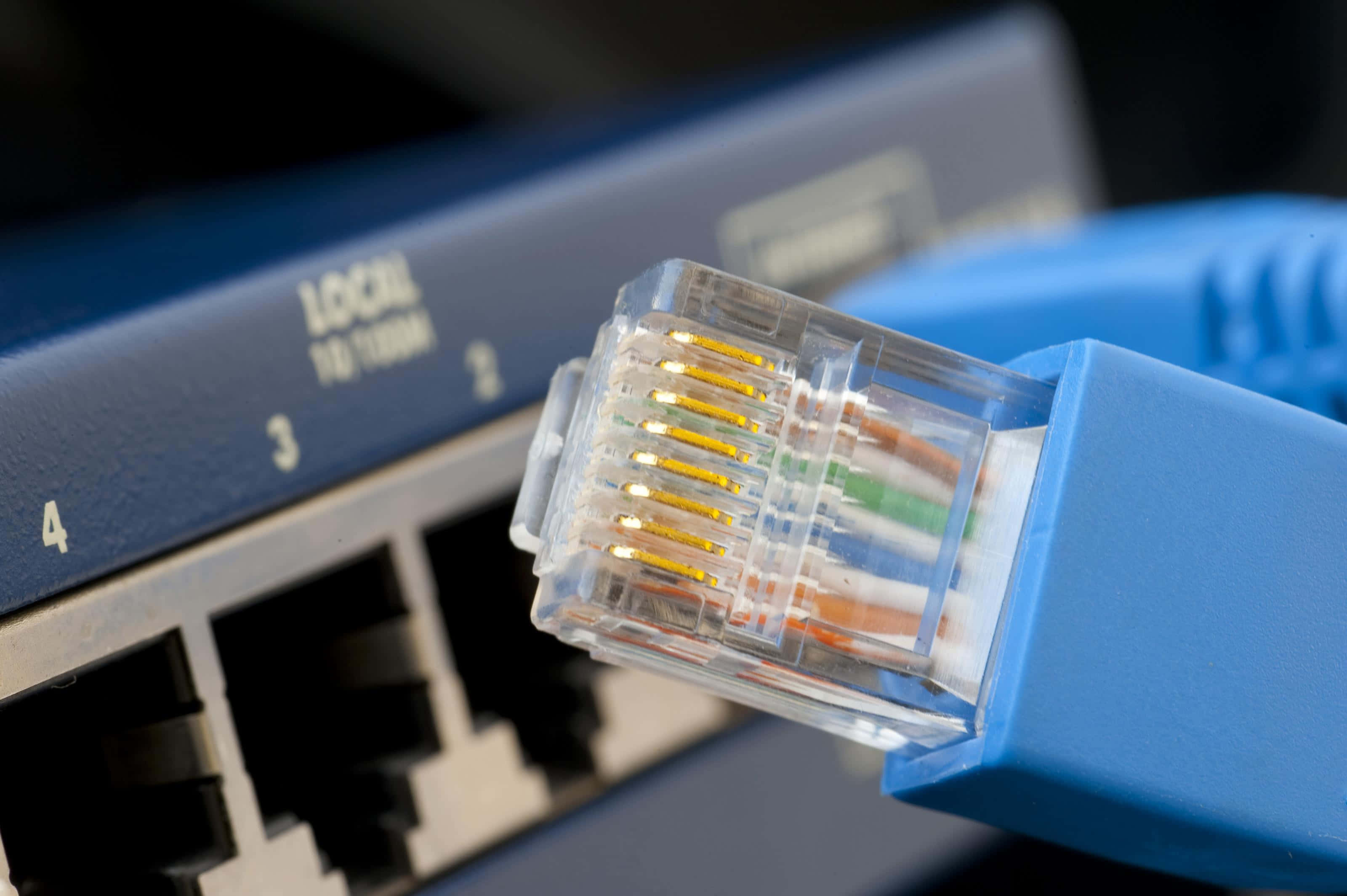 Ethernet, blue ethernet cable, network switch port, 2K Desktop Wallpaper
