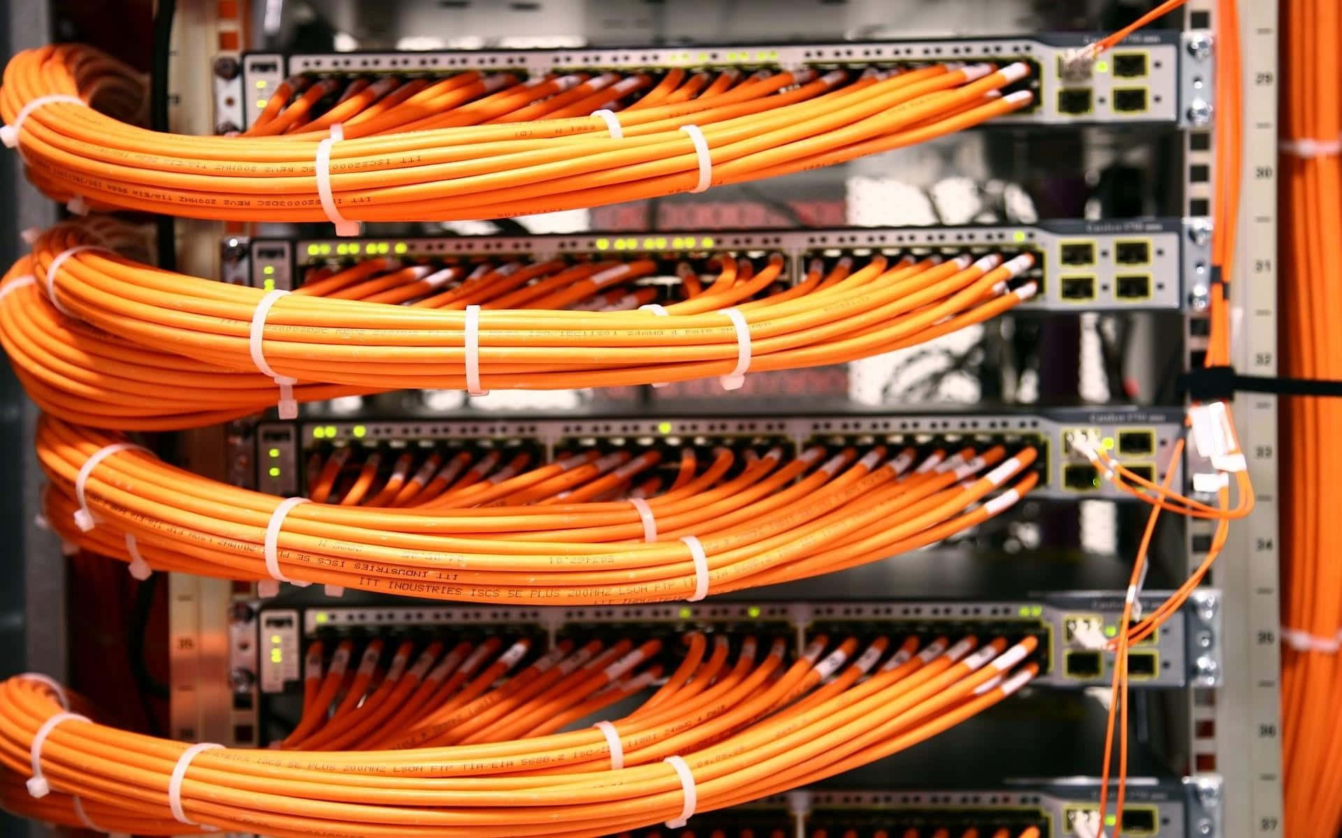 Ethernet, orange network cables, server rack ports, Full HD Desktop Wallpaper