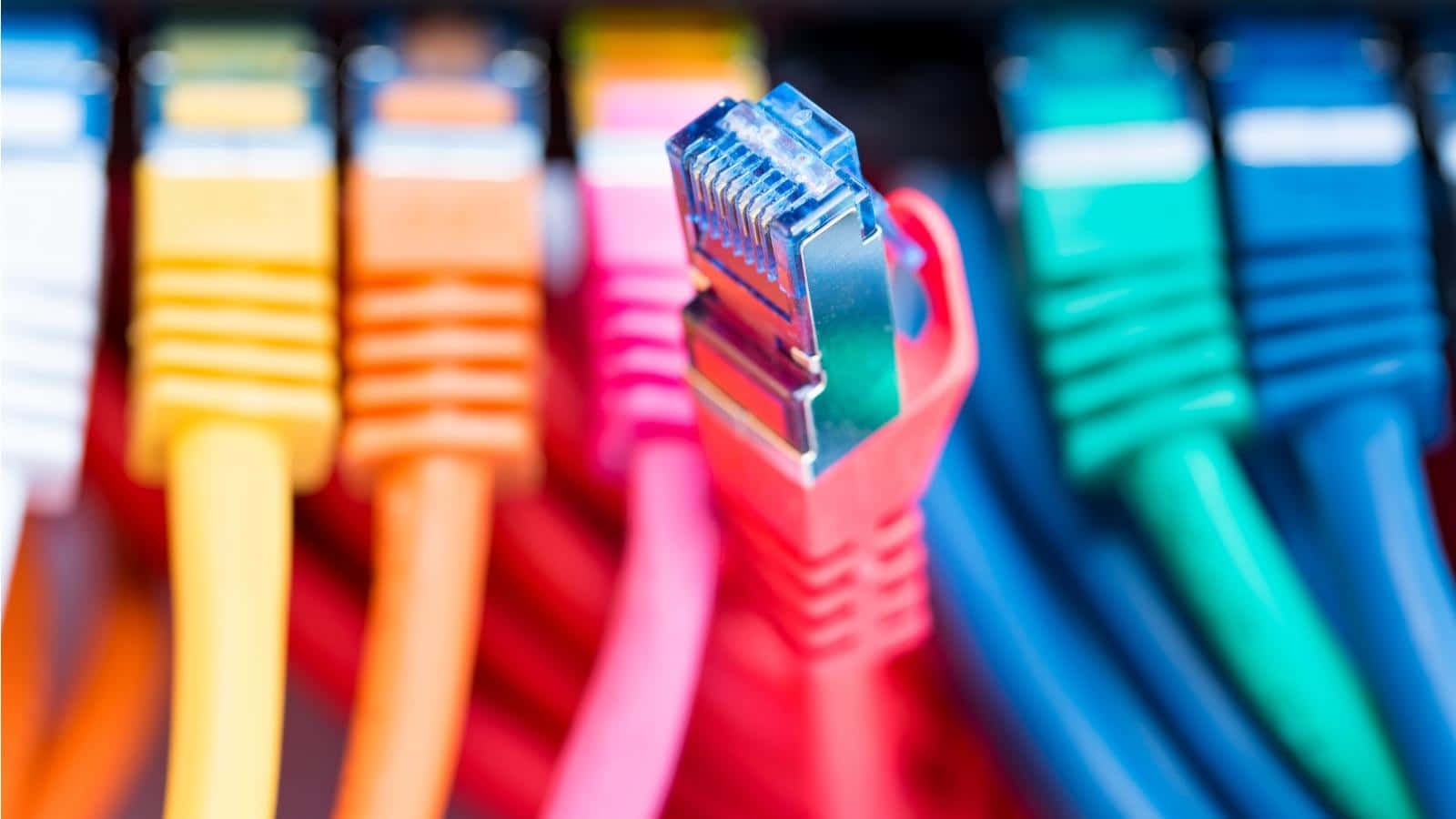 Ethernet, red plug, multicolored cords, HD Desktop Wallpaper