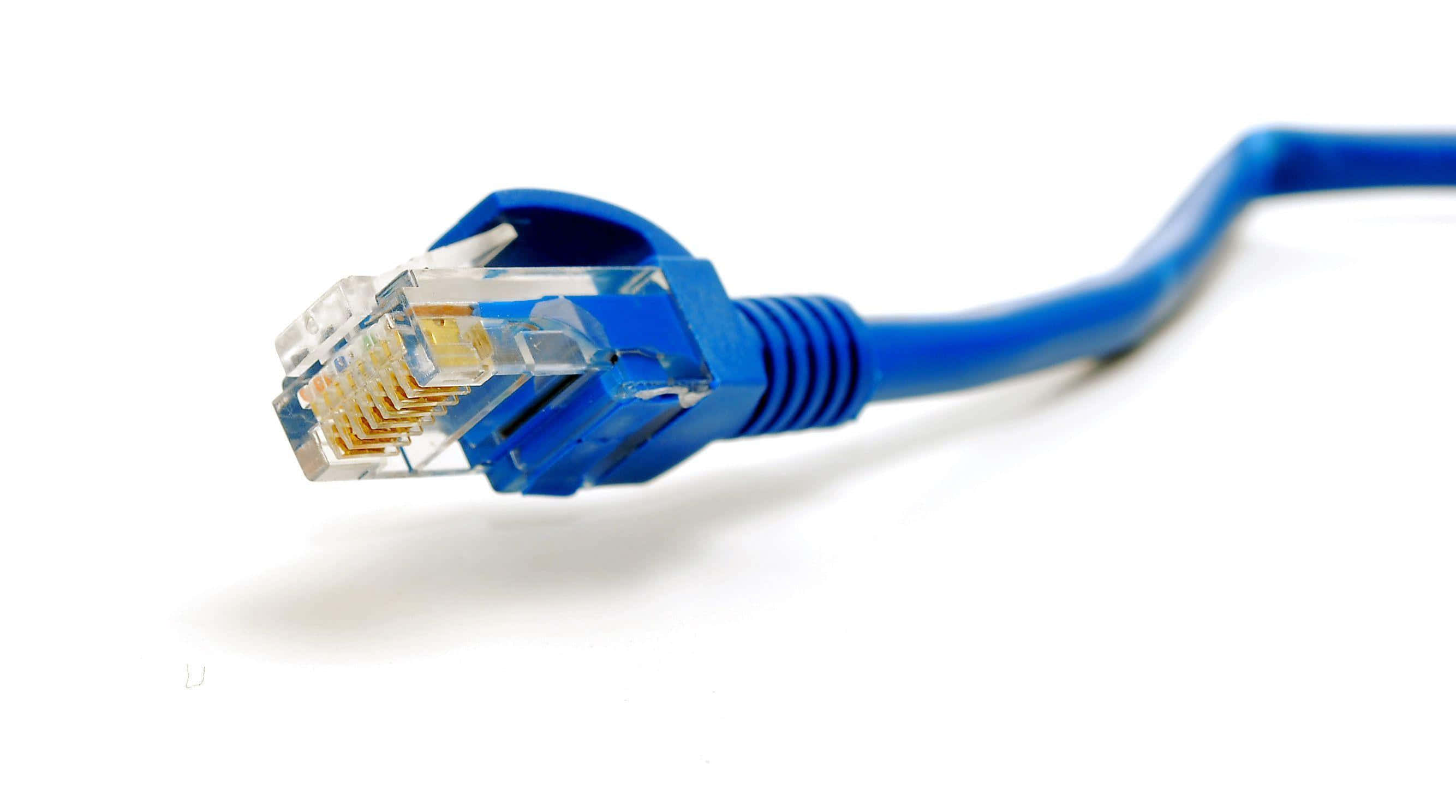 Ethernet, blue, ethernet cable connector, 2K Desktop Wallpaper