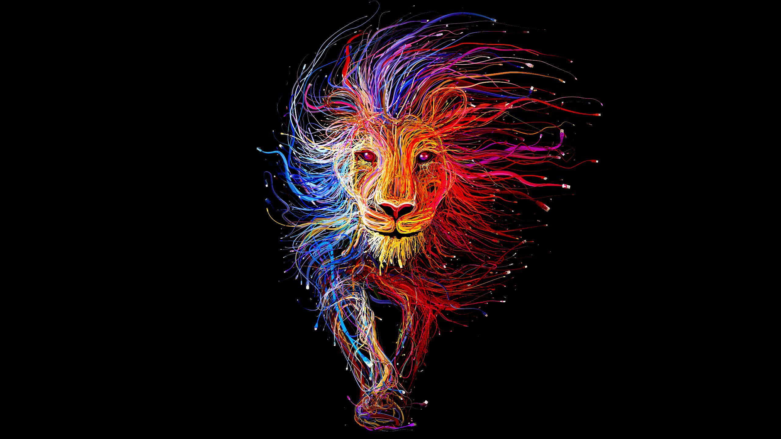 Ethernet, 2560 x 1440, electric red, 2K Desktop Wallpaper
