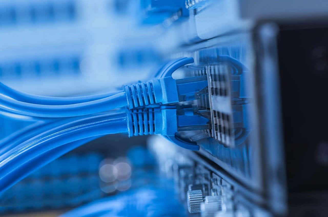 Ethernet, blue ethernet cable, server rack, HD Desktop Wallpaper