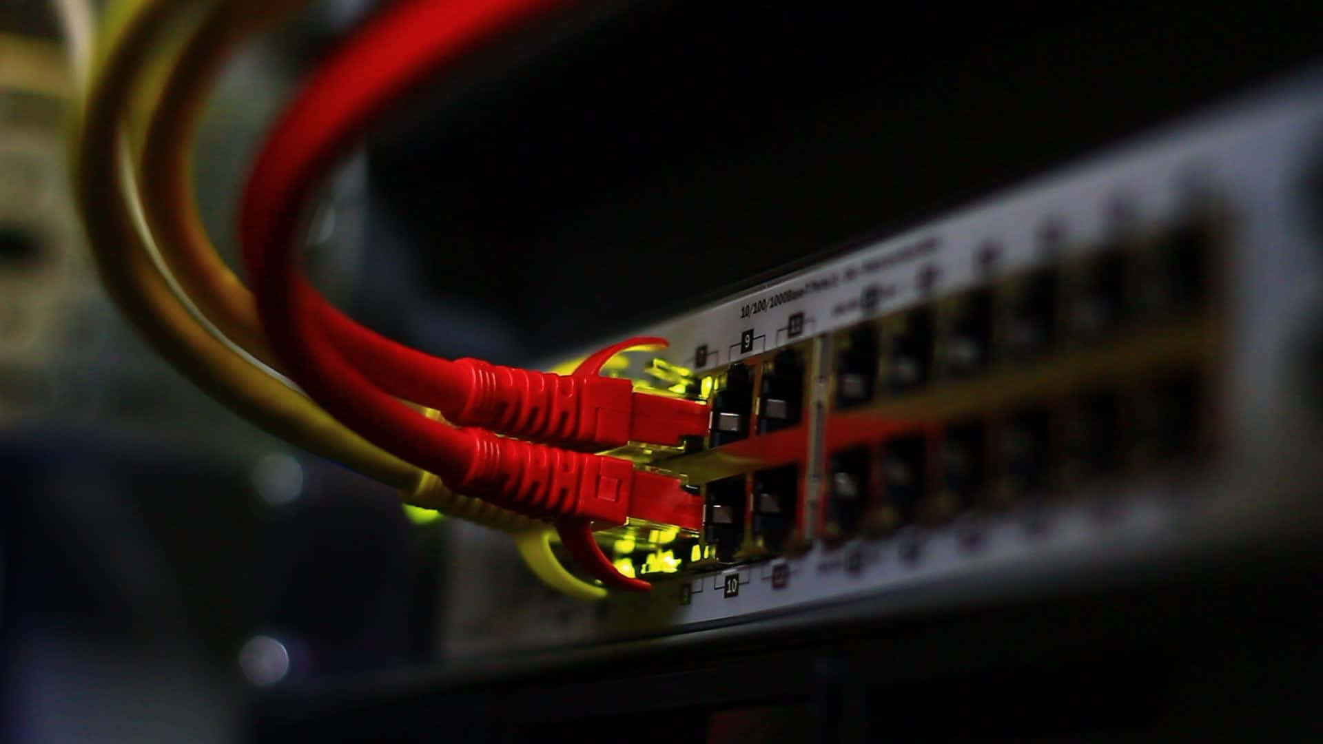 Ethernet, red and yellow Ethernet cables, network switch, Full HD Desktop Wallpaper