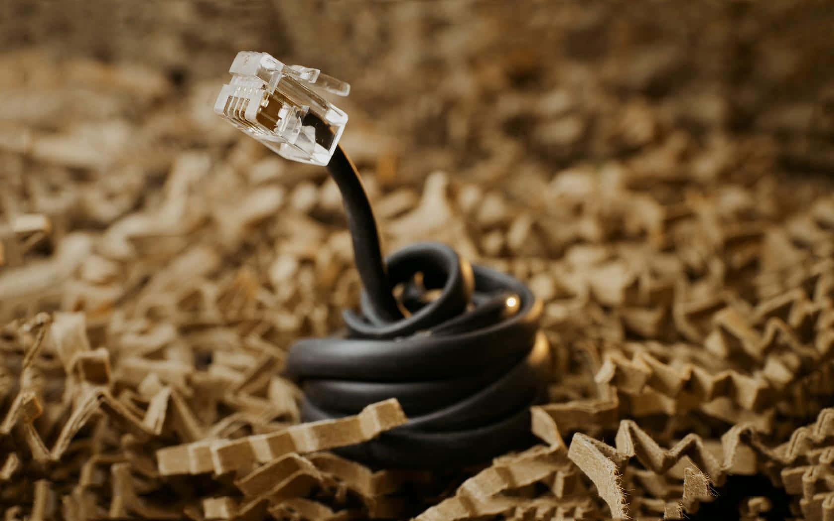 Ethernet, black ethernet cable, clear connector, HD Desktop Wallpaper