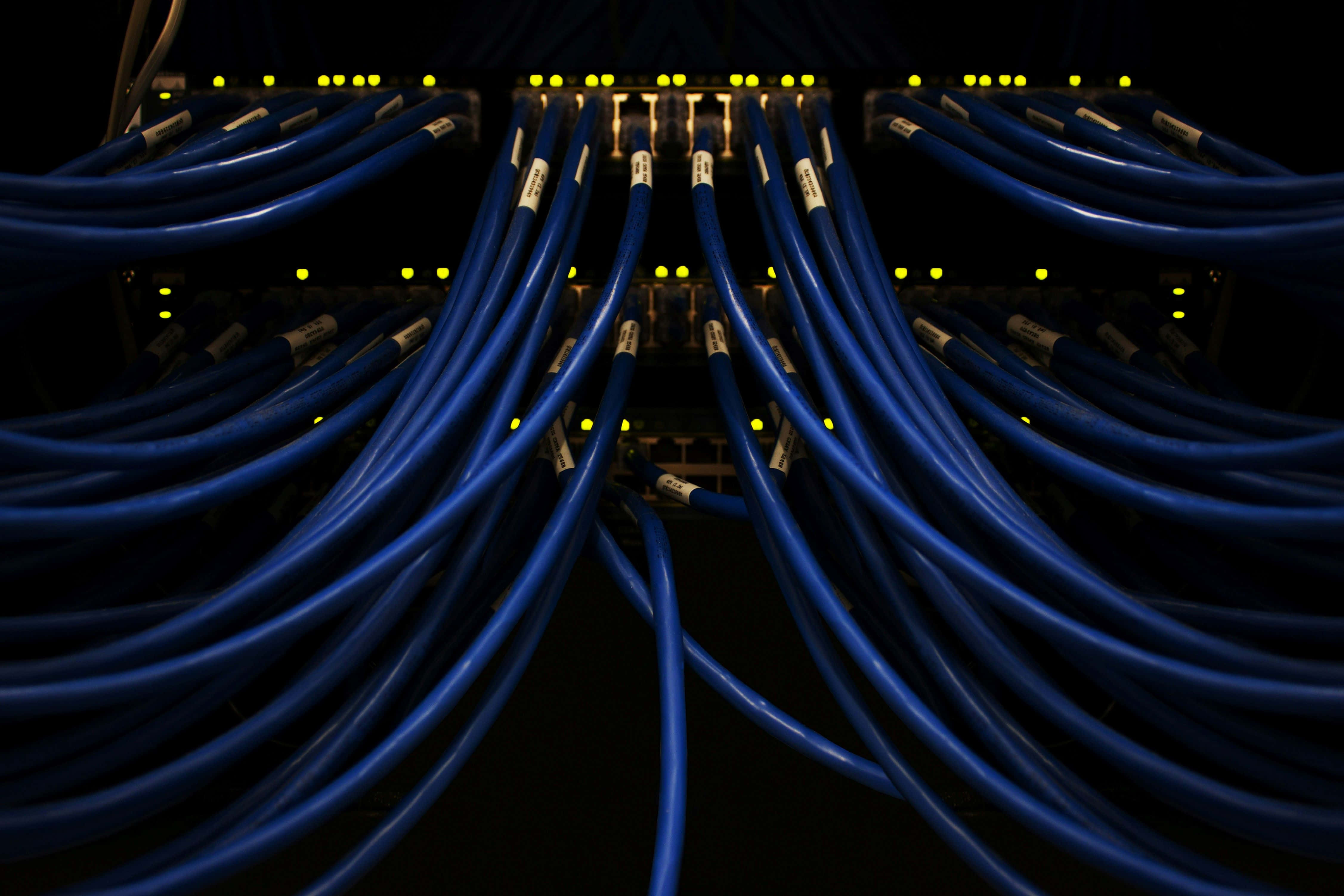 network cable, server room, blue network cables, 4K Desktop Wallpaper