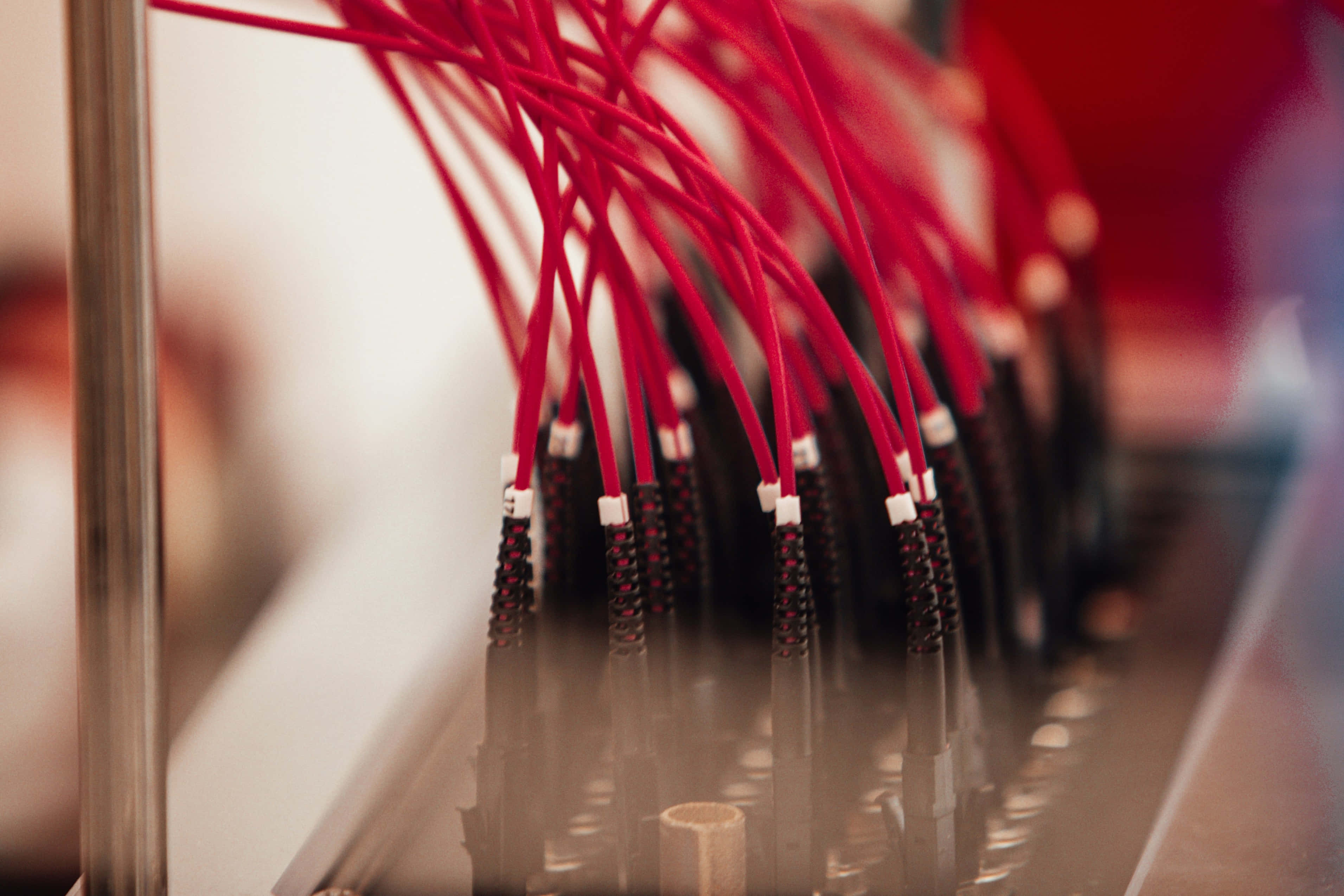 red cables, black textured connectors, server room, 2K Desktop Wallpaper