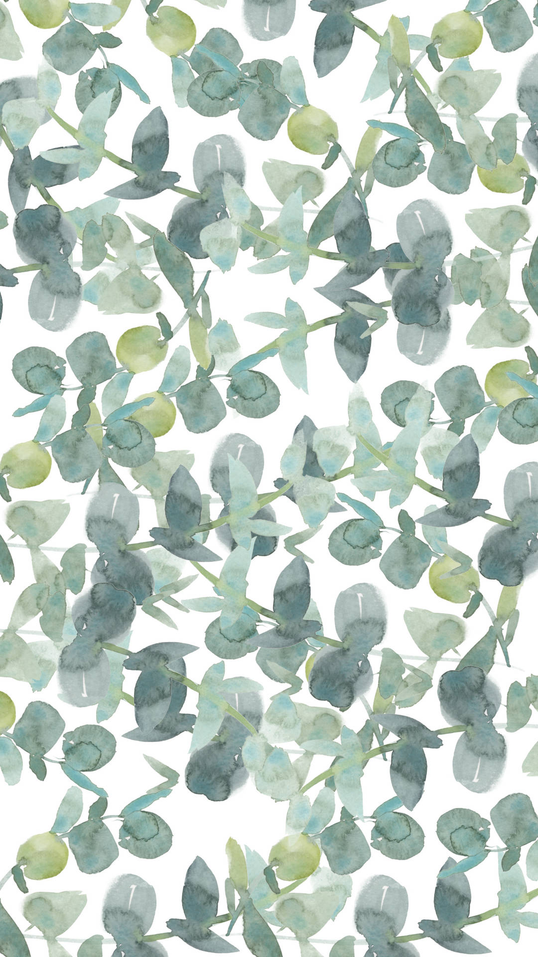 eucalyptus leaves, soft teal, sage green, Full HD Phone Wallpaper