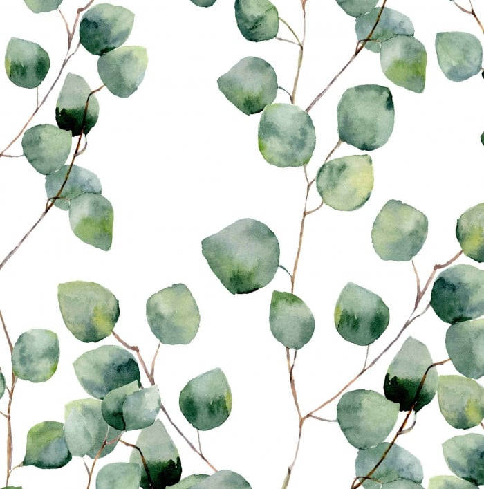 watercolor paint eucalyptus, eucalyptus leaves, soft green tones, SD Phone Wallpaper
