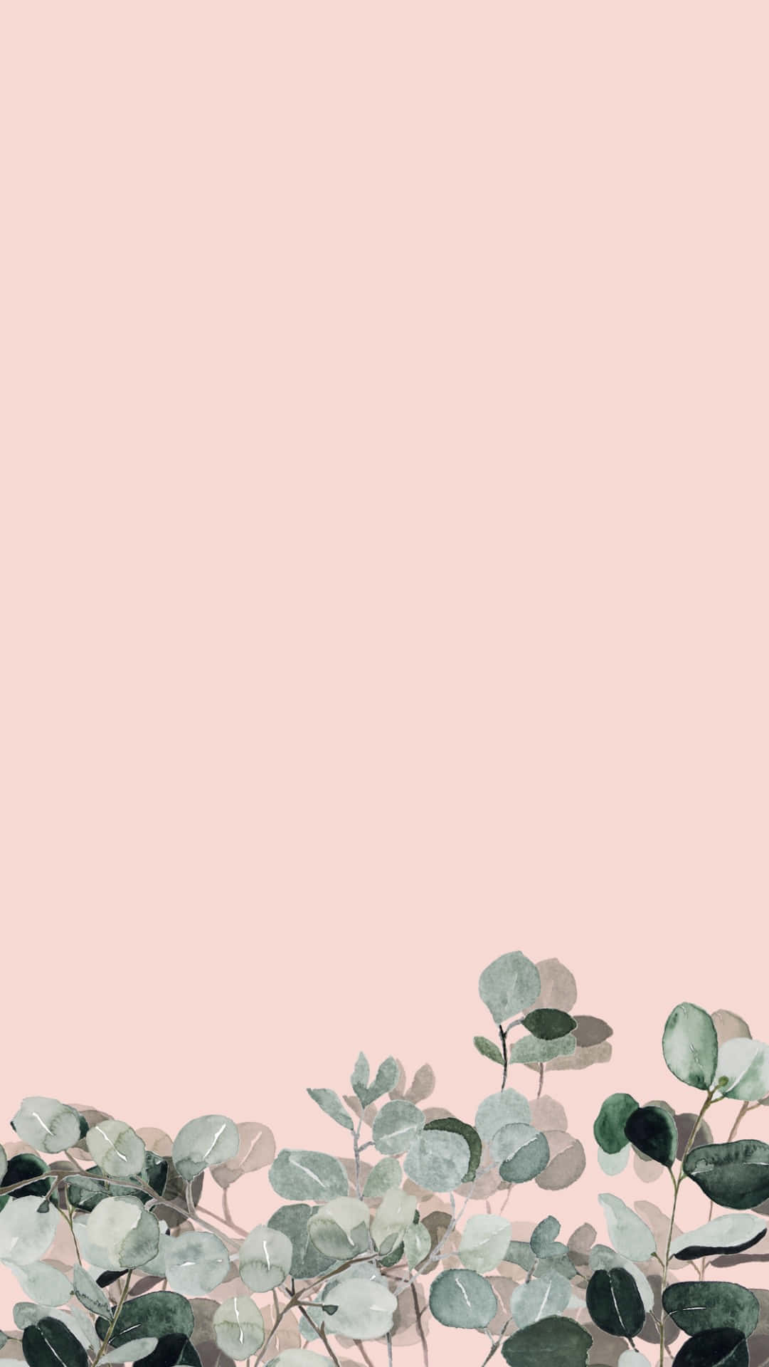 eucalyptus sprigs, muted greens, grays, Full HD Phone Wallpaper