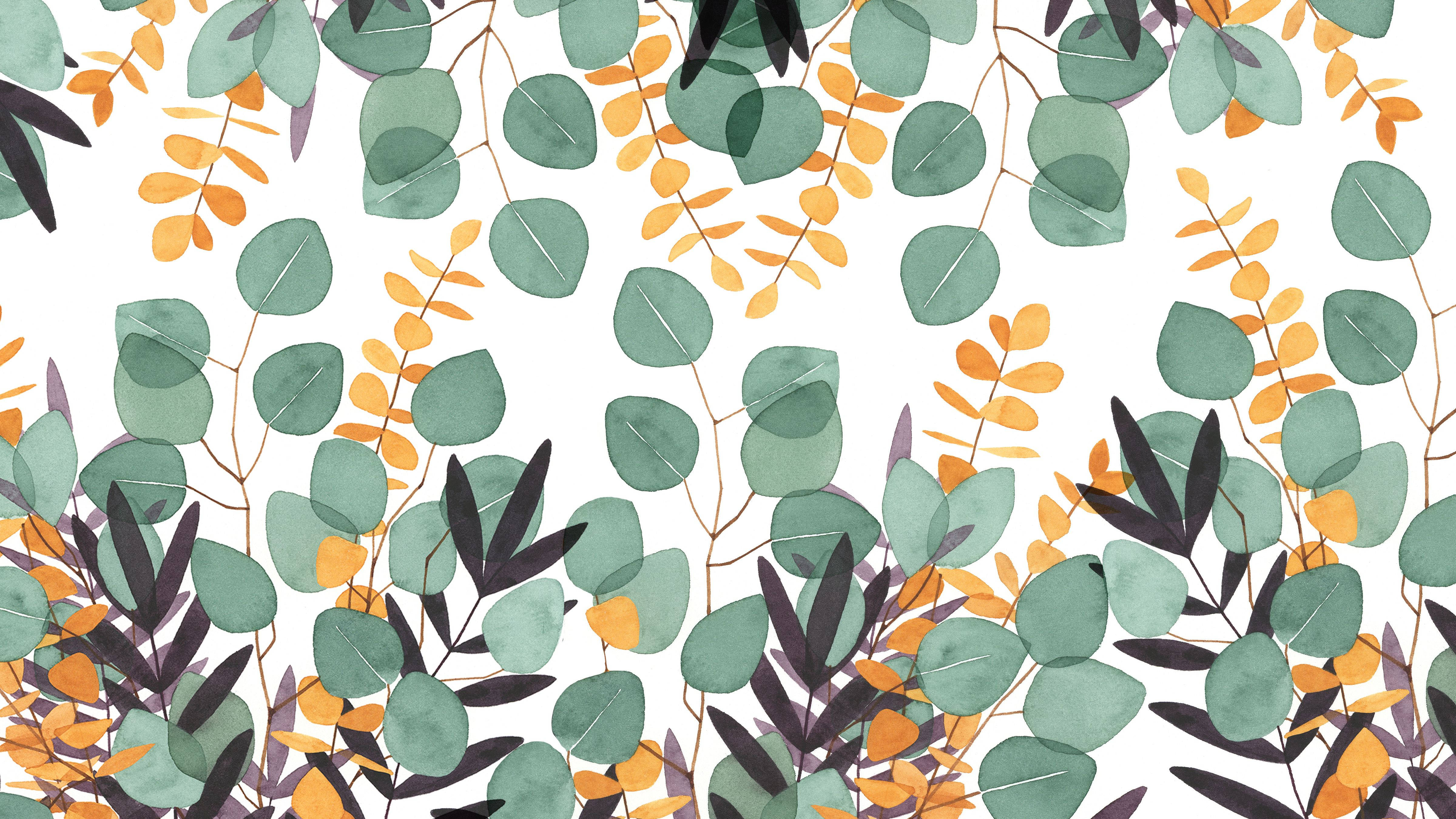 eucalyptus leaves, watercolor pattern, green eucalyptus leaves, 4K Desktop Wallpaper