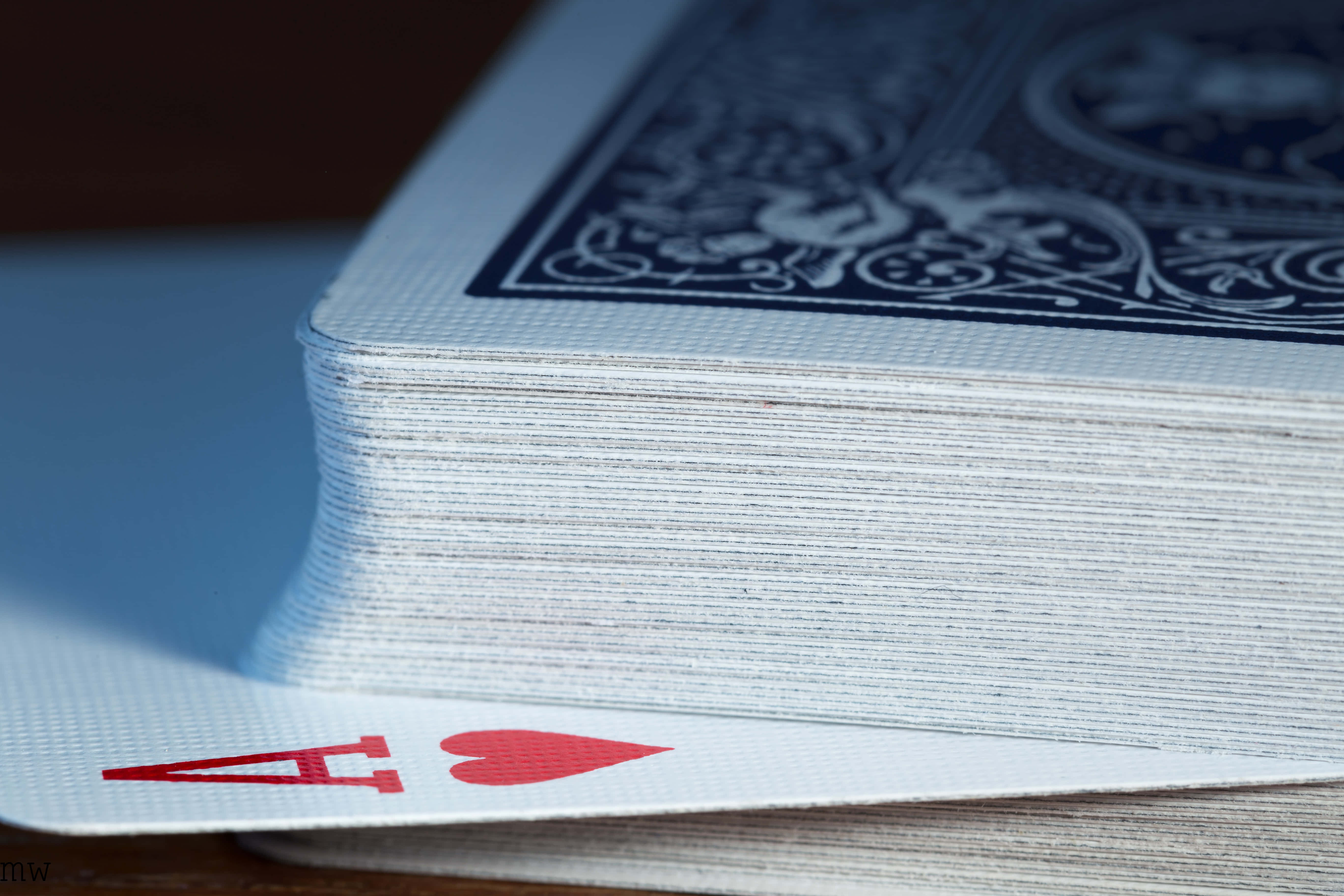 Euchre, ace of hearts, blue-backed playing card, 5K Desktop Wallpaper