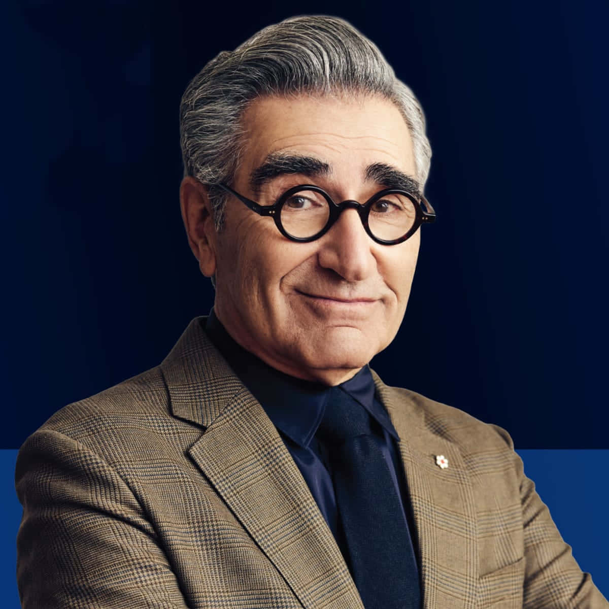 Eugene Levy, gray hair, round glasses, SD Desktop Wallpaper