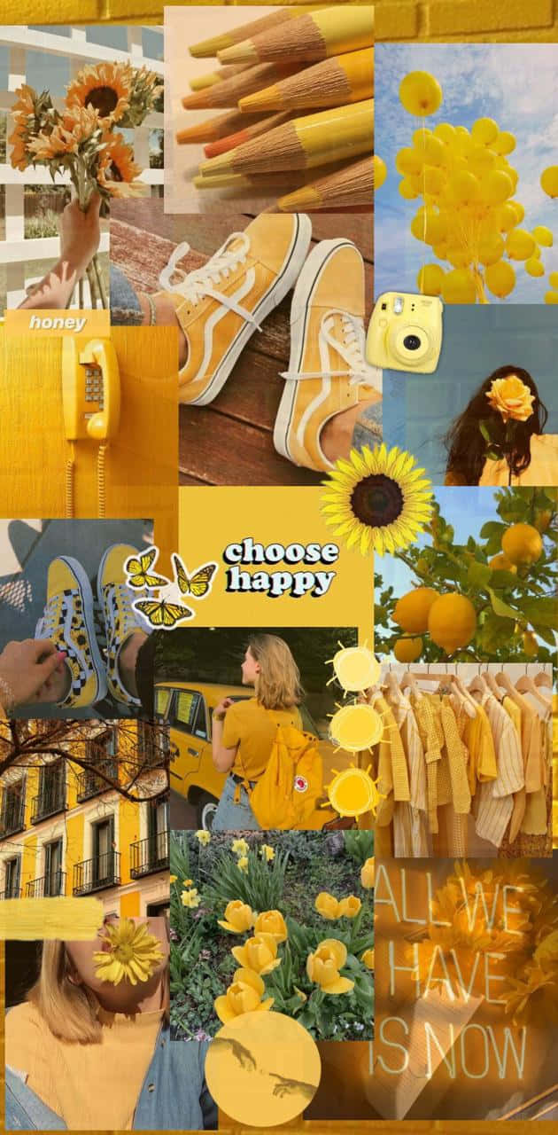 Aesthetic Yellow, sunflowers, sneakers, HD Phone Wallpaper