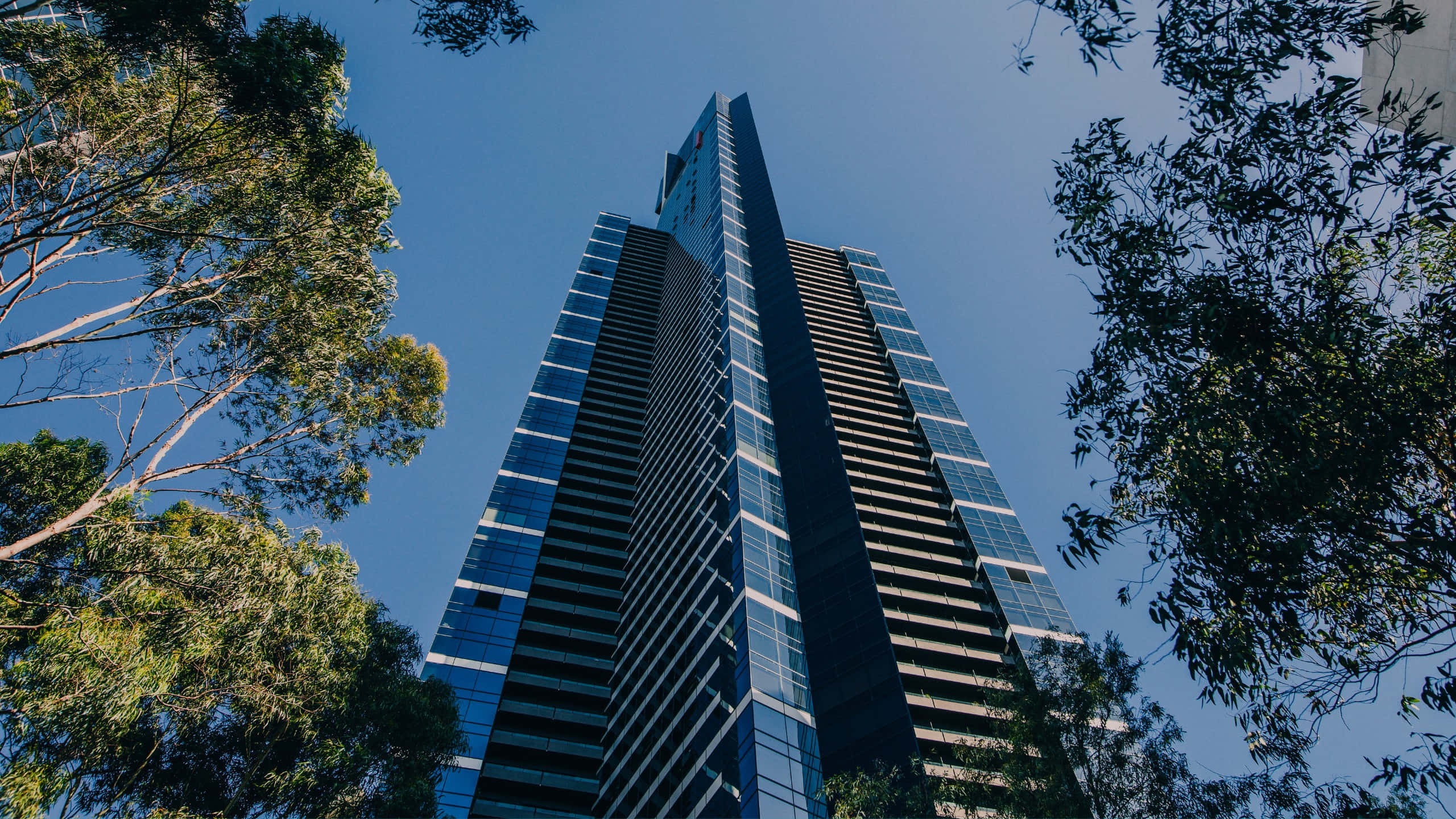 Eureka Tower, skyline view, glass skyscraper, 2K Desktop Wallpaper