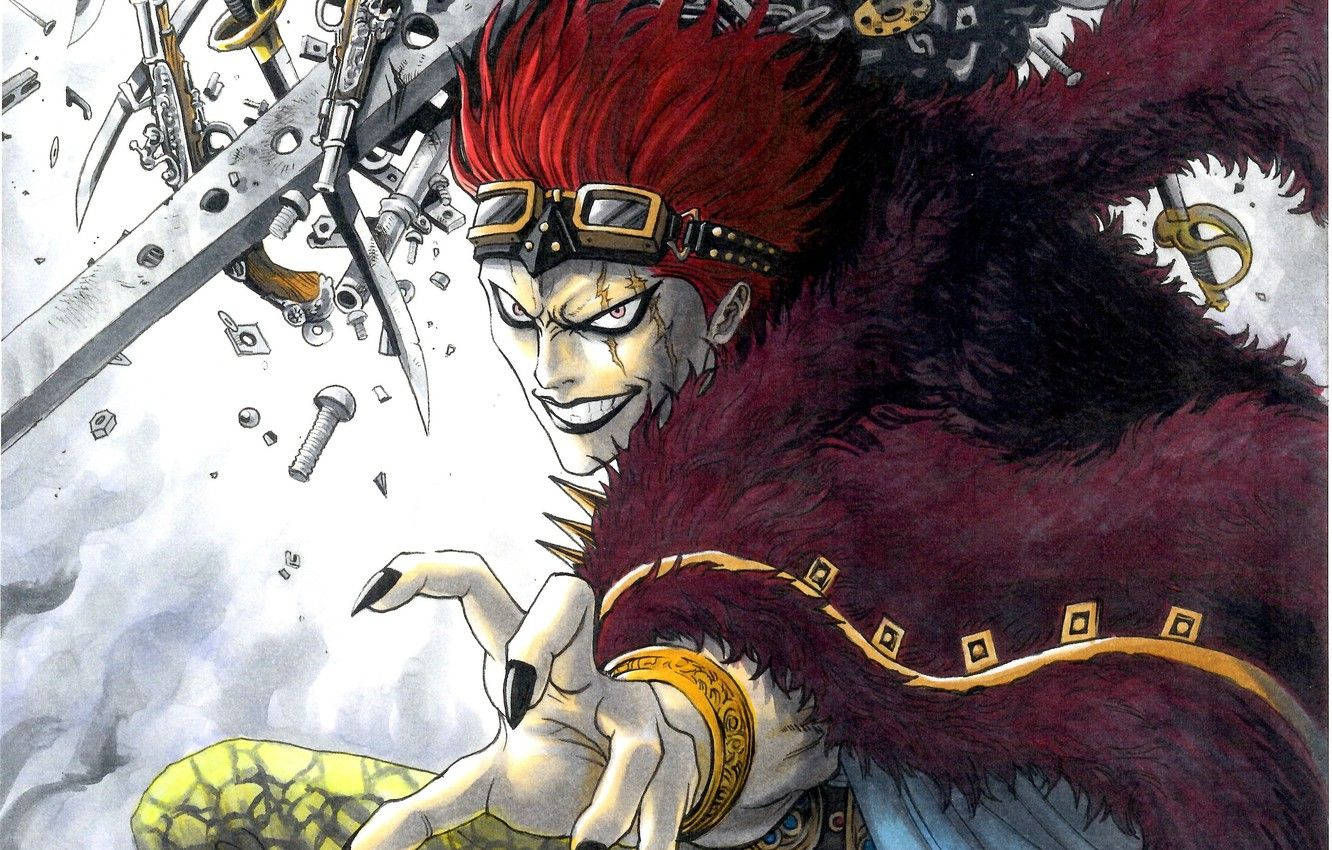 Eustass Kid, red hair, goggles, HD Desktop Wallpaper