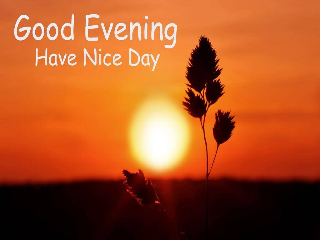 Good Evening Have Nice Day, vibrant orange sunset, glowing sun, SD Desktop Wallpaper
