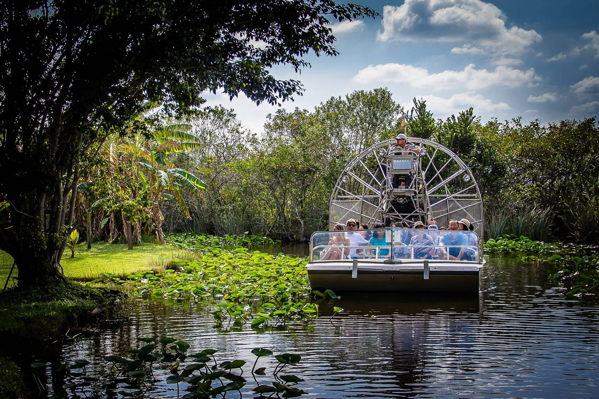Everglades National Park, airboat, lily pads, Full HD Desktop Wallpaper