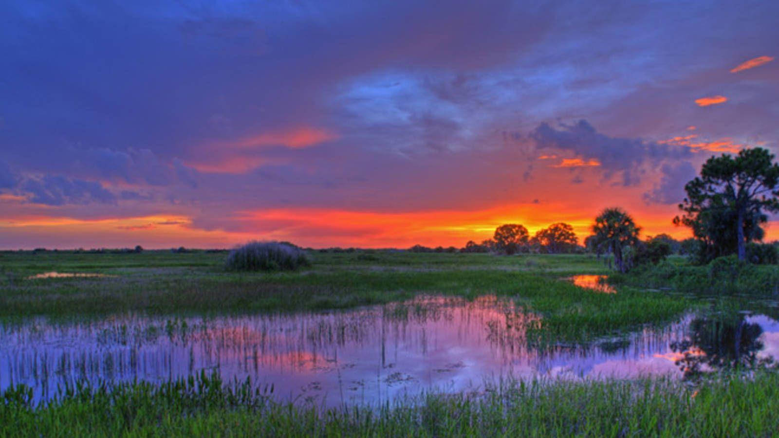 Everglades National Park, wetlands, sunset, HD Desktop Wallpaper
