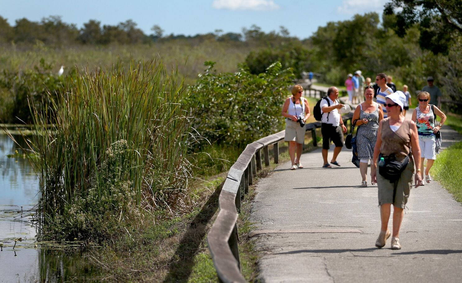 Everglades National Park, sunny paved path, marsh, HD Desktop Wallpaper
