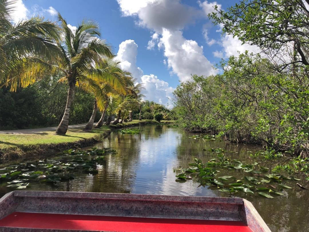 Lake Trees Everglades National Park, red boat, tropical canal, SD Desktop Wallpaper