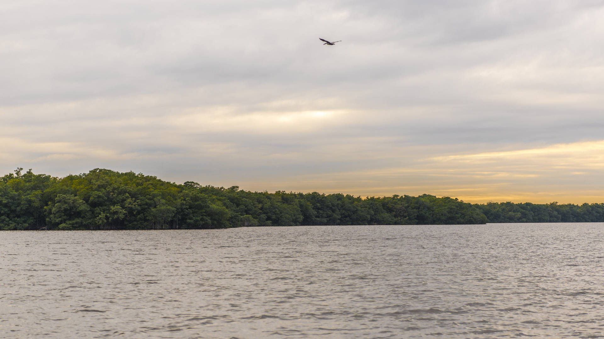 Everglades National Park, lake, calm river, Full HD Desktop Wallpaper