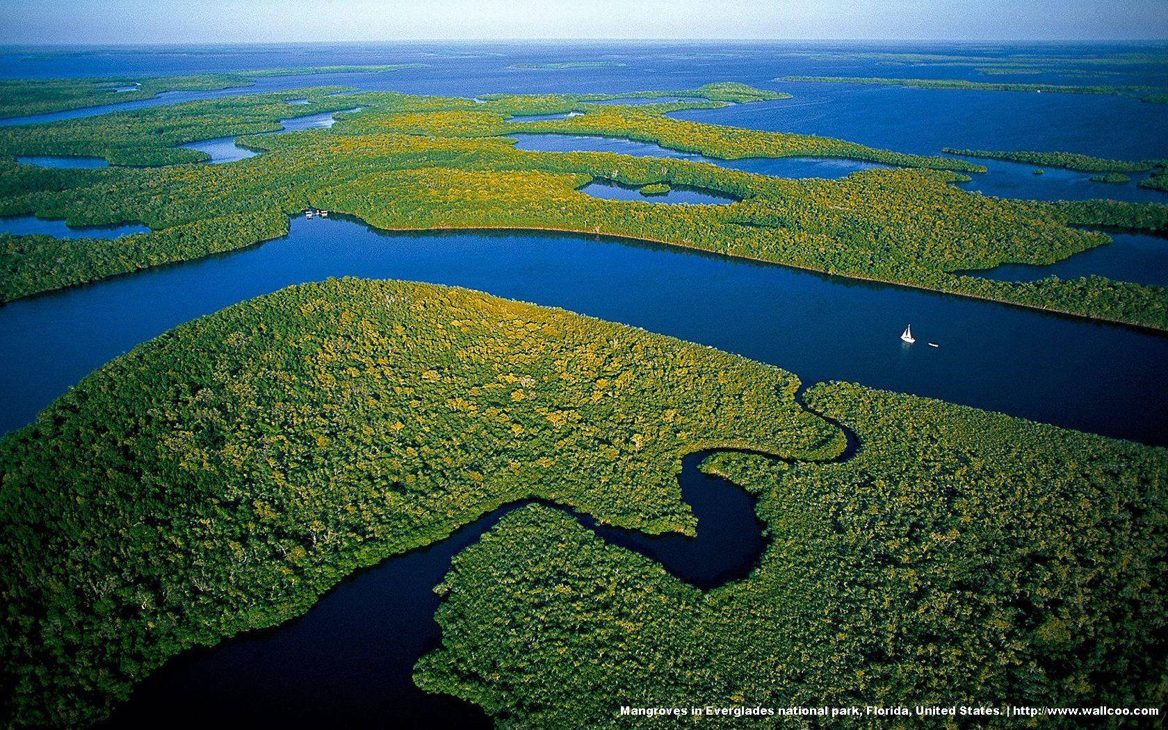 Everglades National Park, mangrove forests, deep blue waterways, HD Desktop Wallpaper